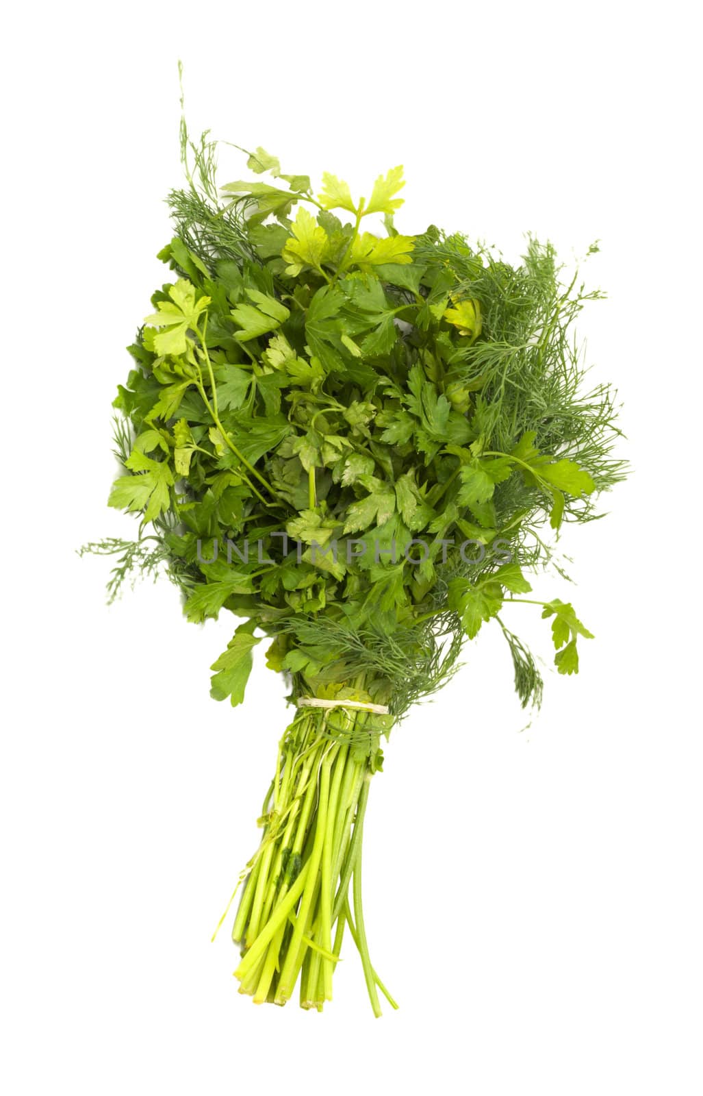 dill and parsley isolated on a white background 