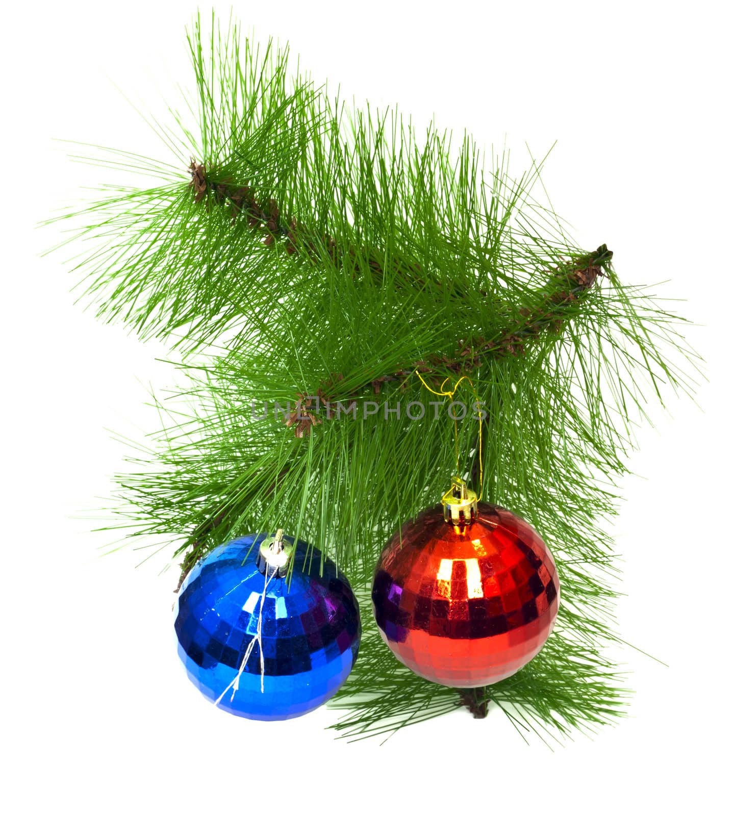 two christmas toys on white background