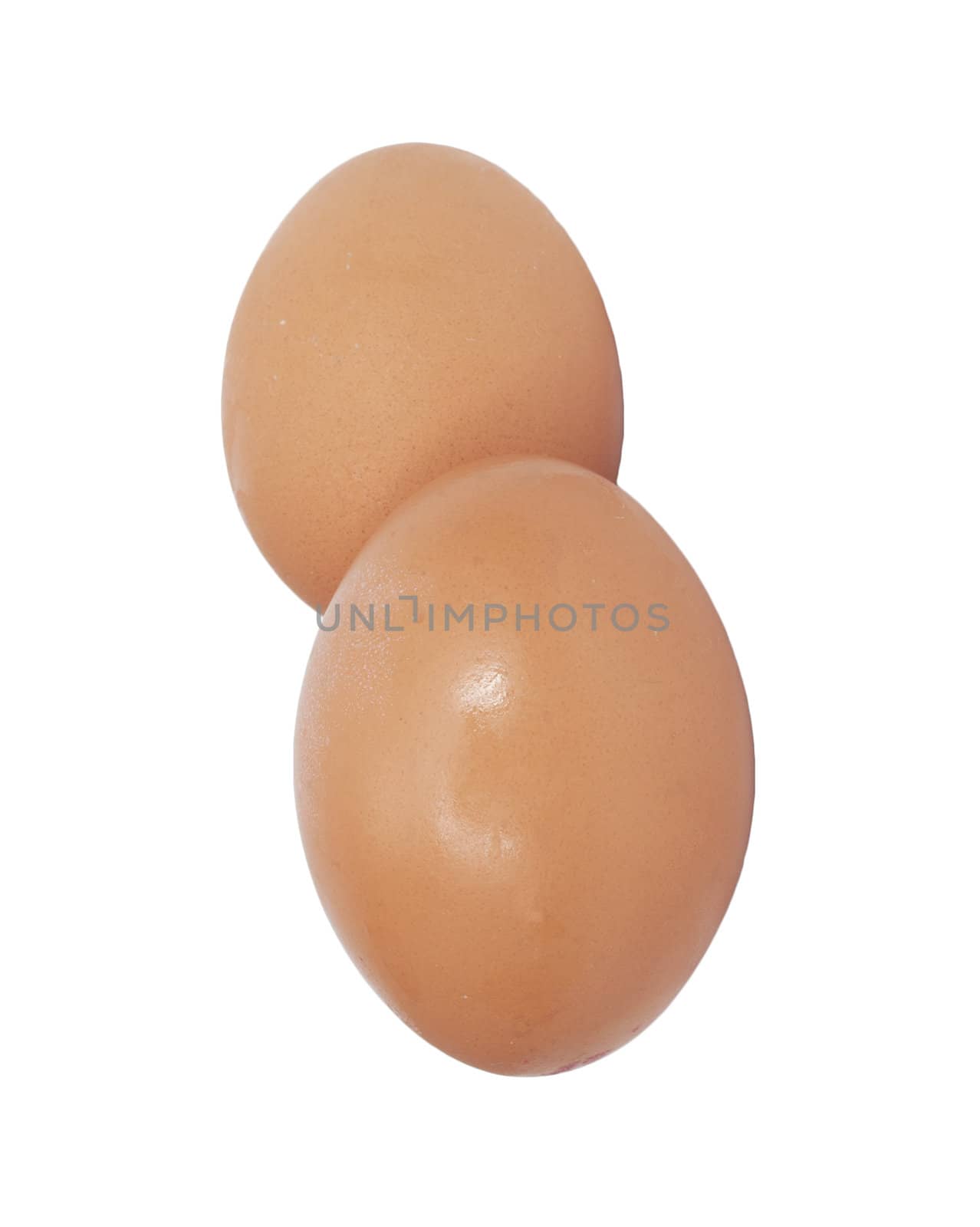 two brown eggs isolated on white background 