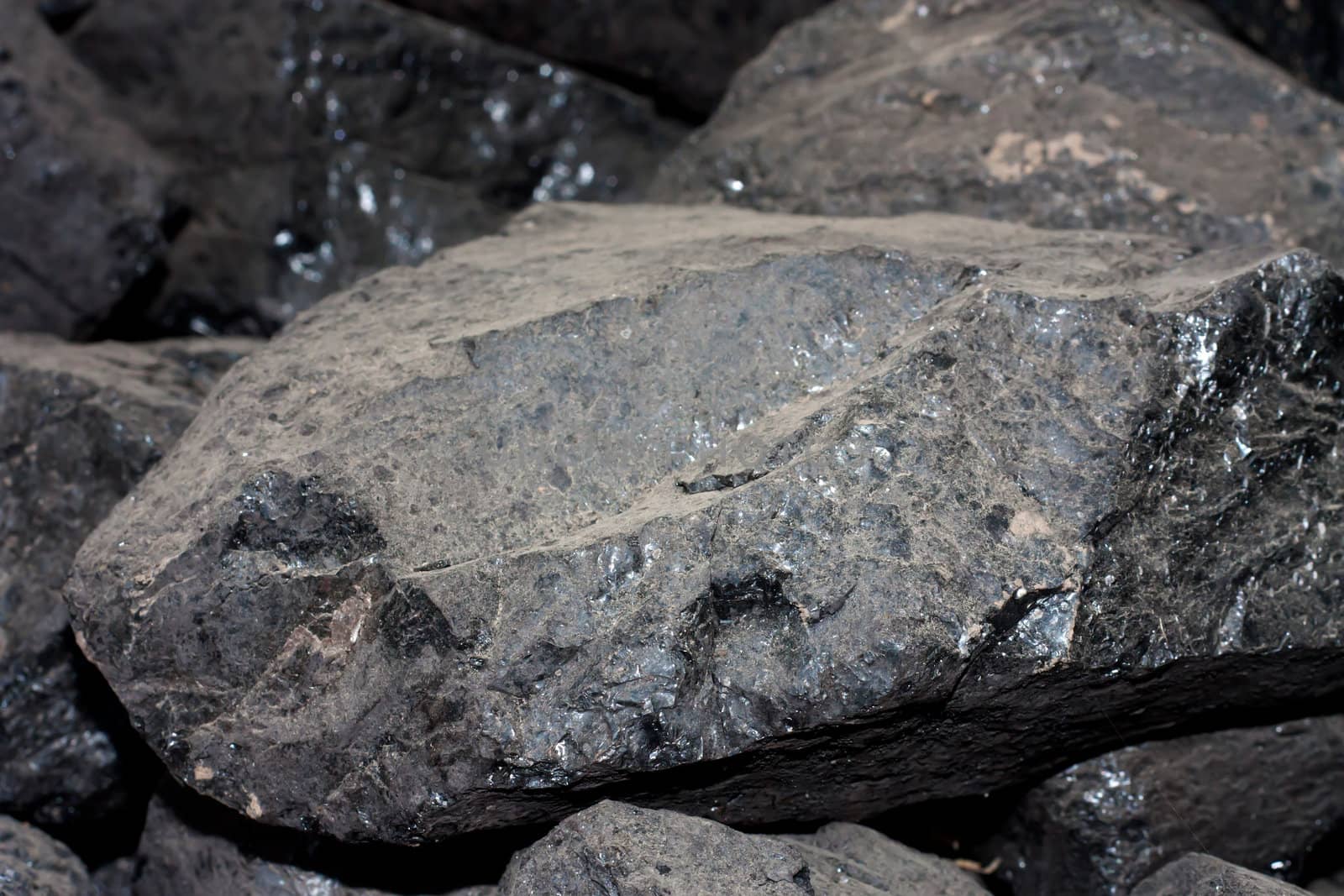 Coal 