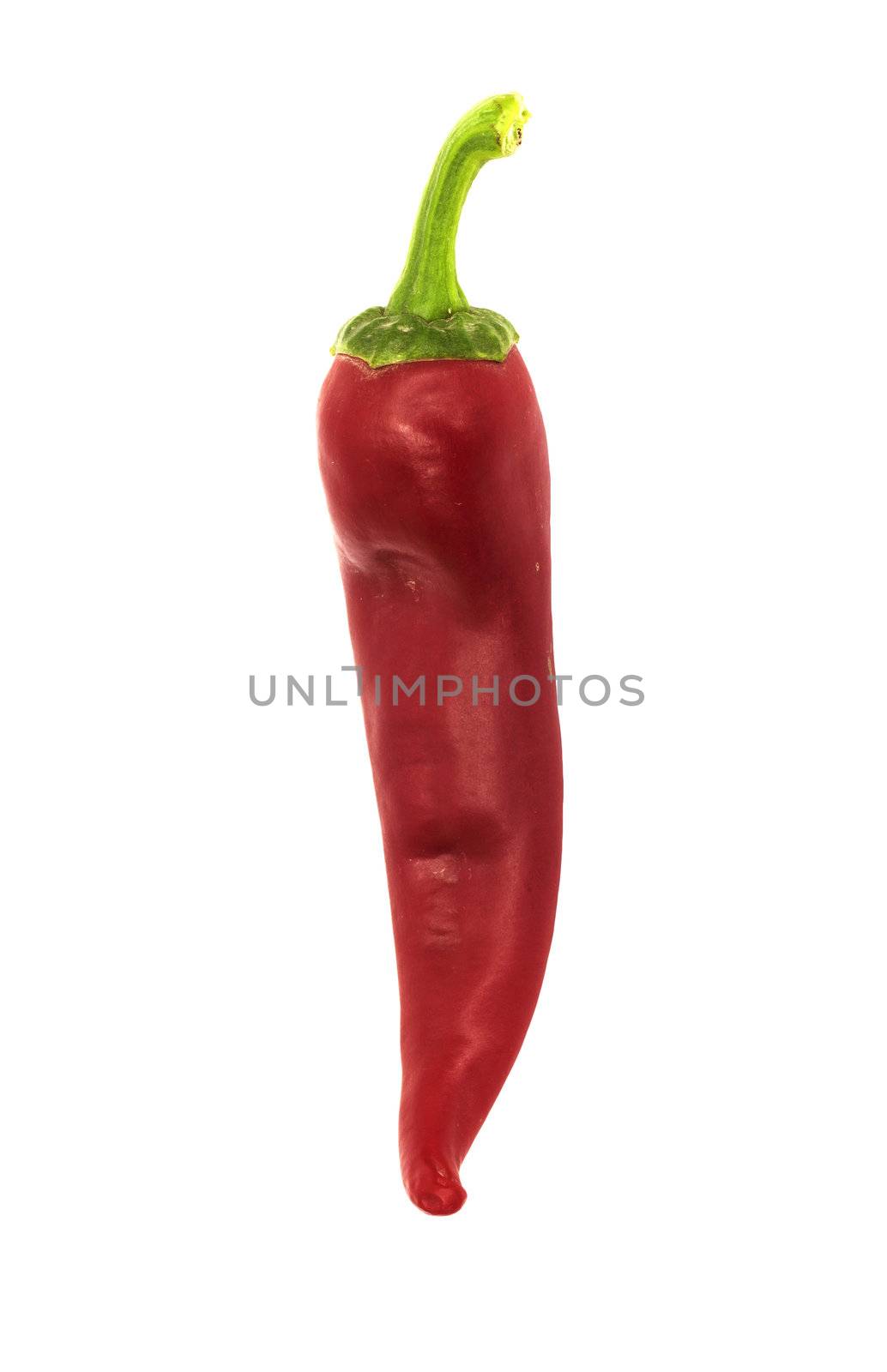 red chilly 