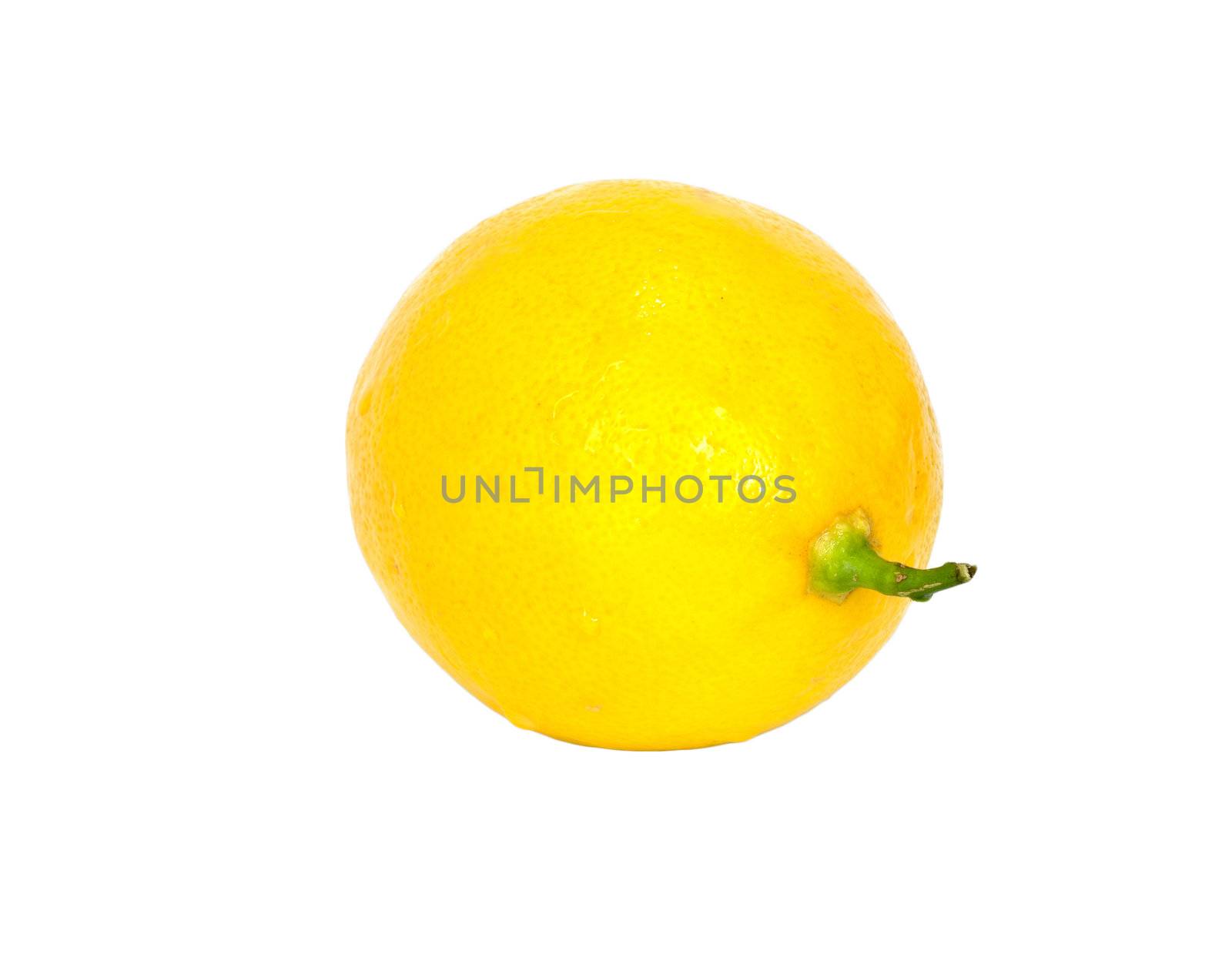 Lemon isolated on white background with copy space 
