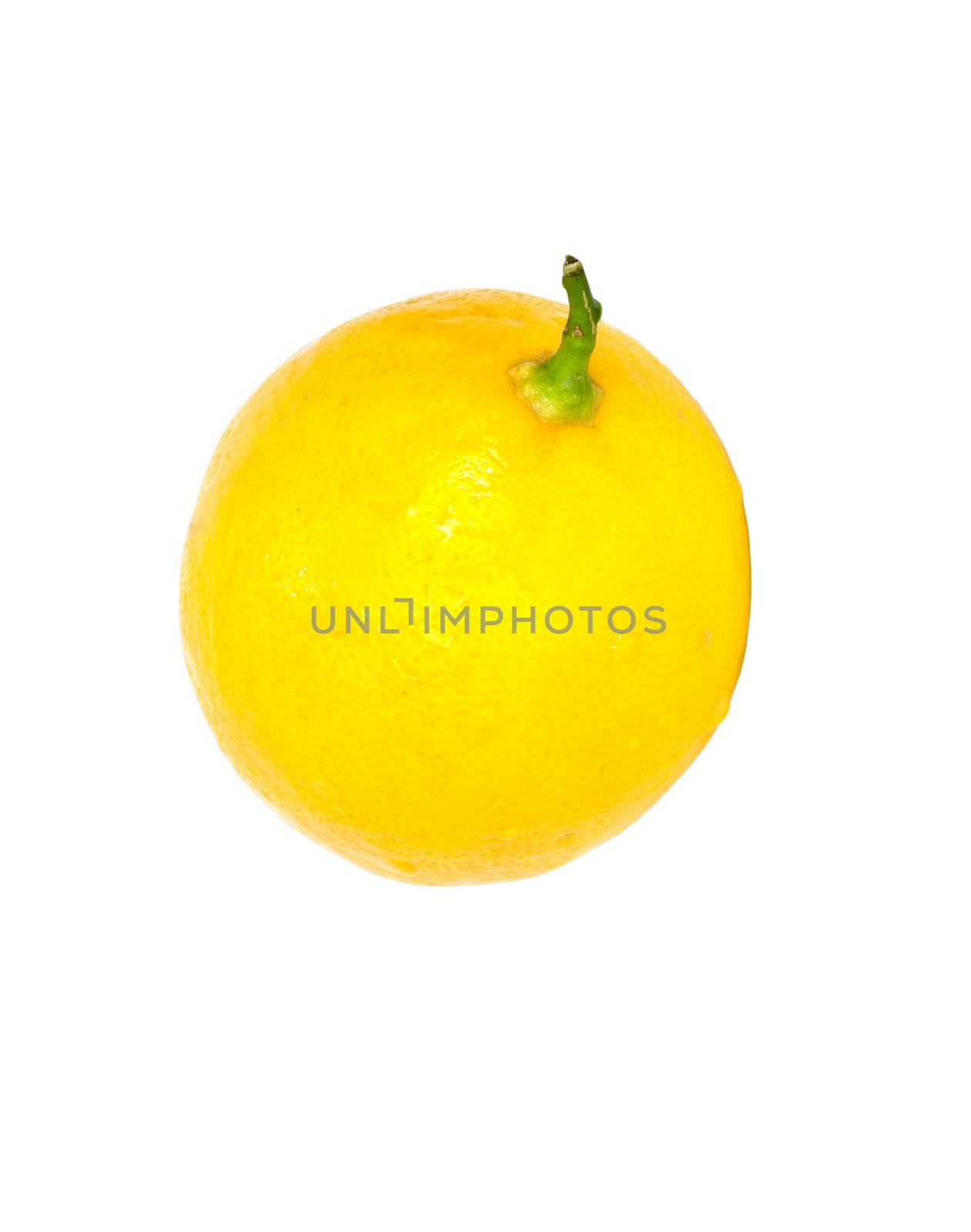 Lemon isolated on white background with copy space 