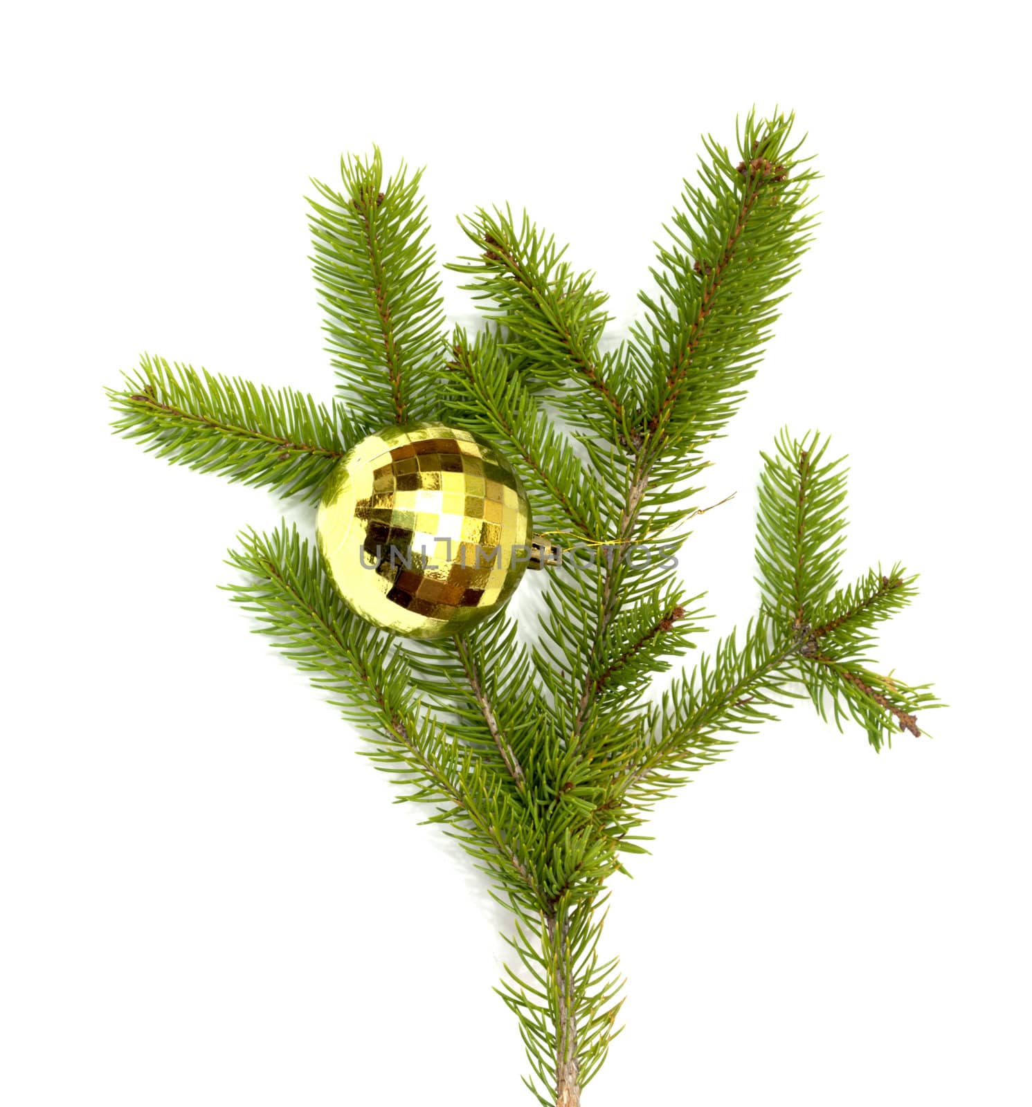 xmas tree ball hanging on a Christmas tree branch, isolated 