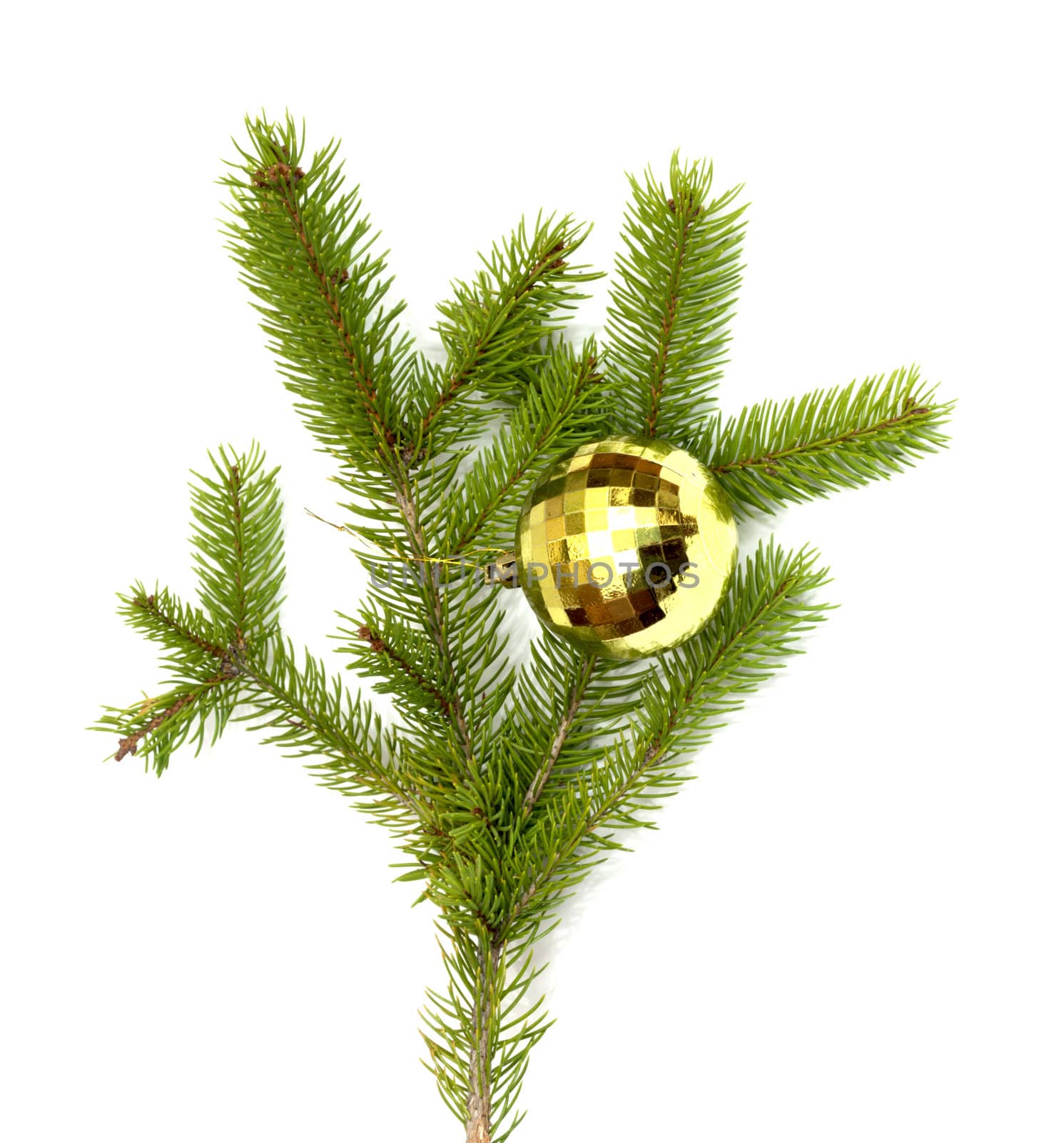 xmas tree ball hanging on a Christmas tree branch, isolated 