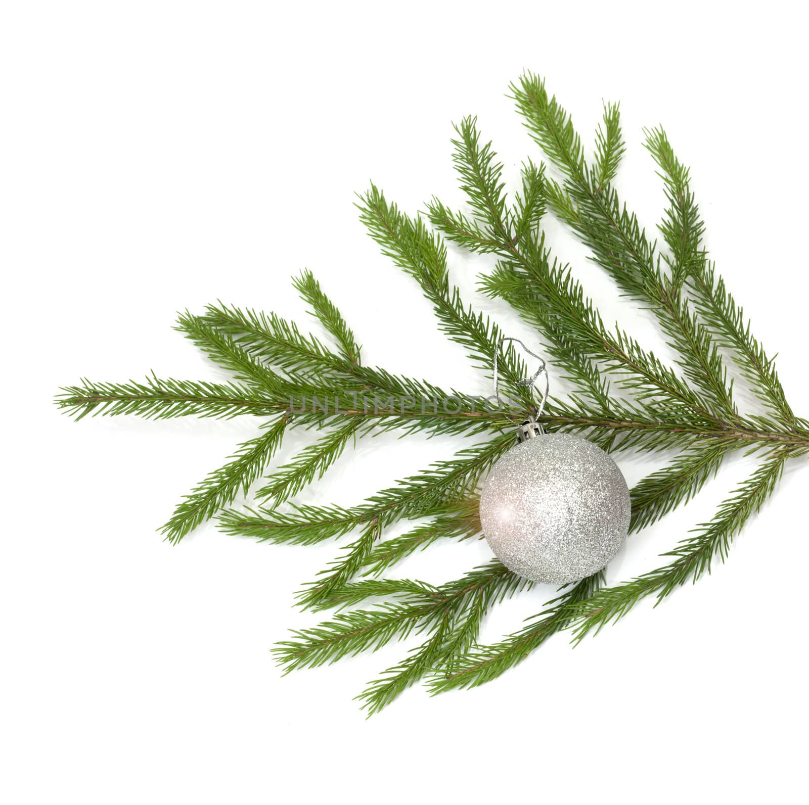 xmas tree ball hanging on a Christmas tree branch, isolated 