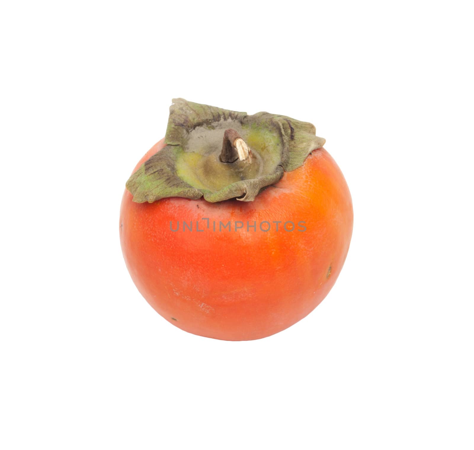 Persimmon Isolated on White Background 