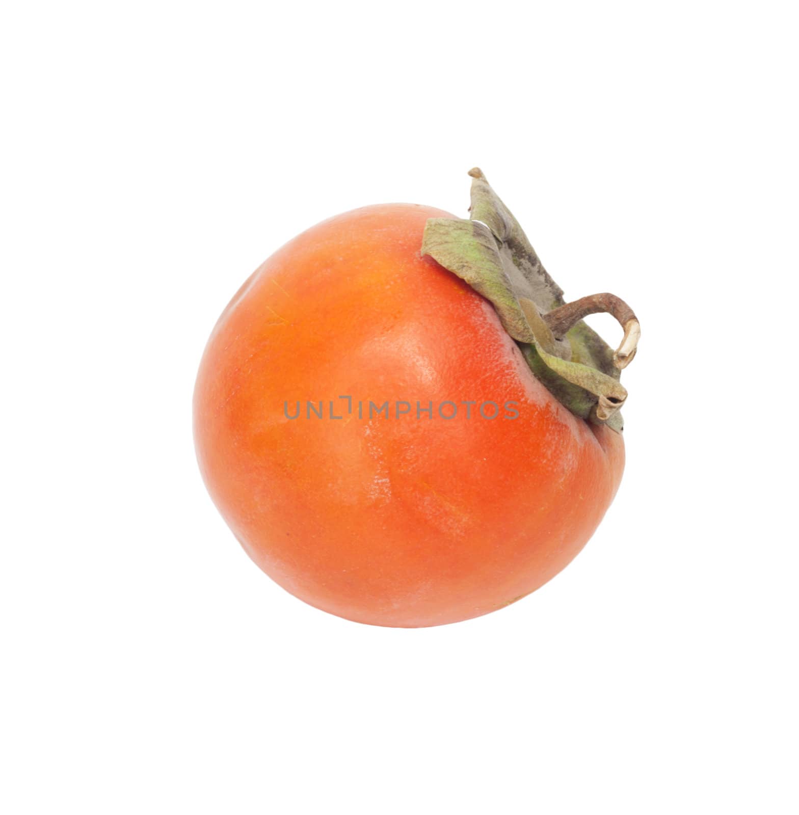 Persimmon Isolated on White Background 