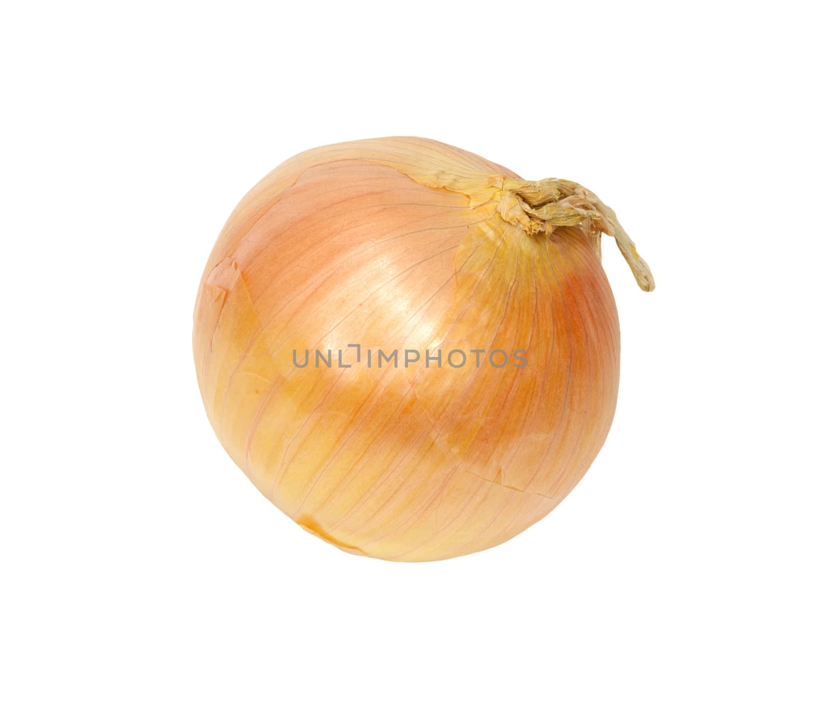 Ripe onion on a white background 