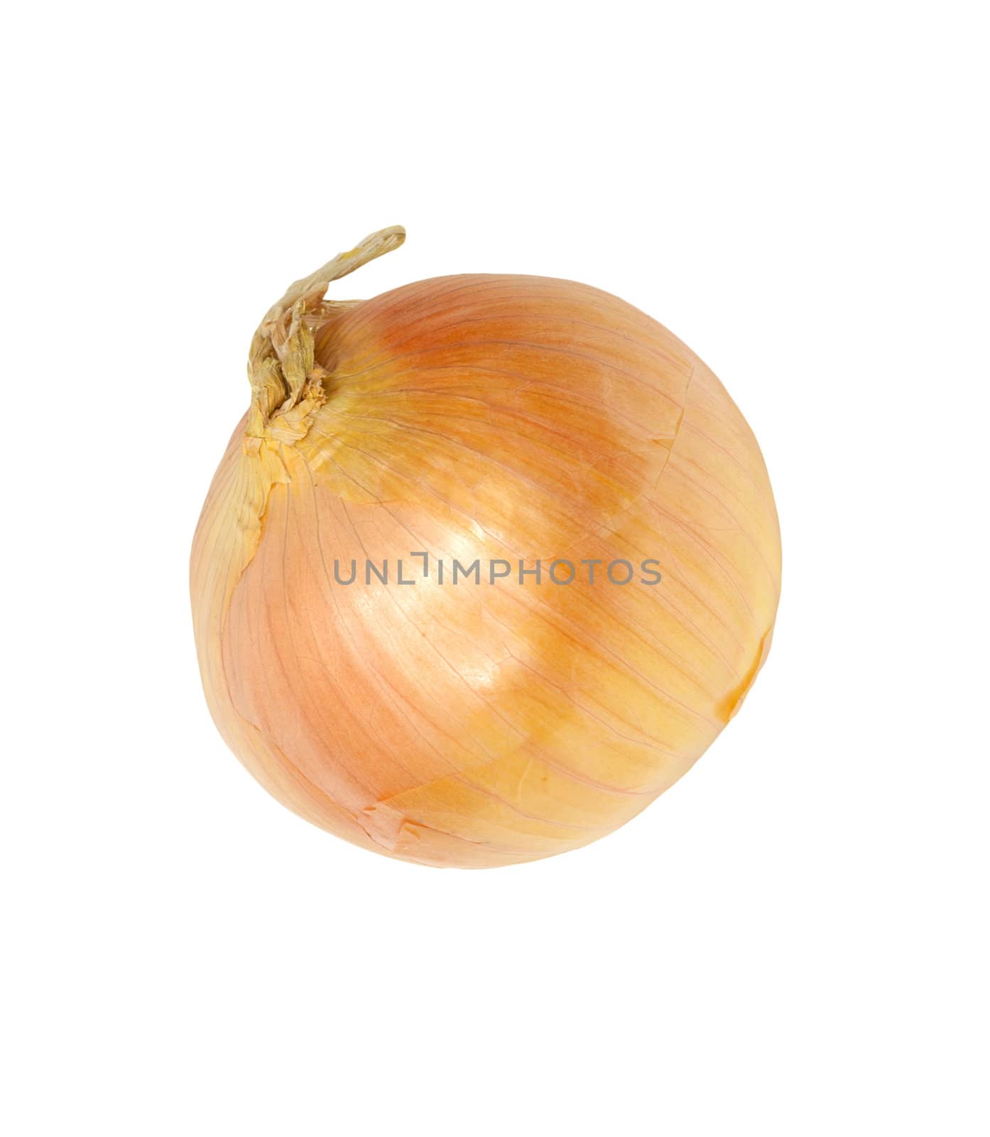 Ripe onion on a white background 