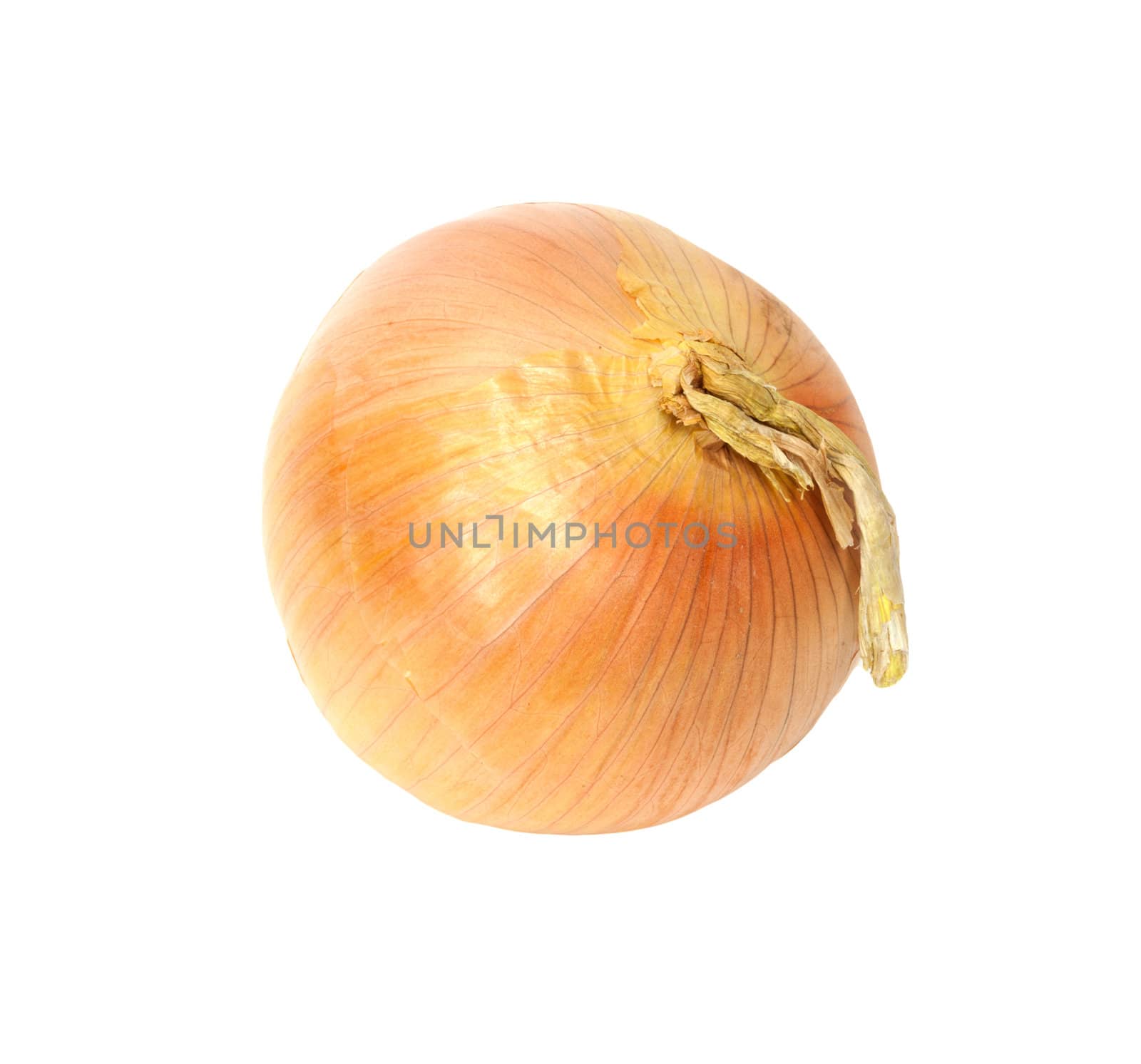 Ripe onion on a white background 