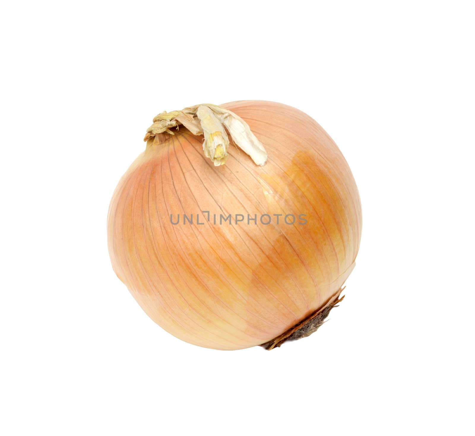 Ripe onion on a white background 