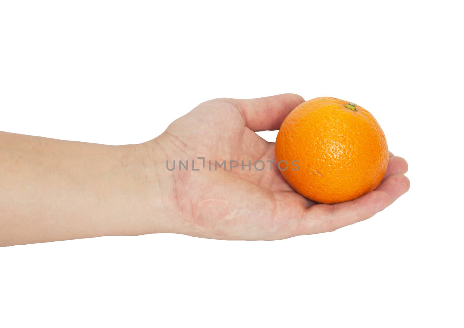 tangerine in the hand 