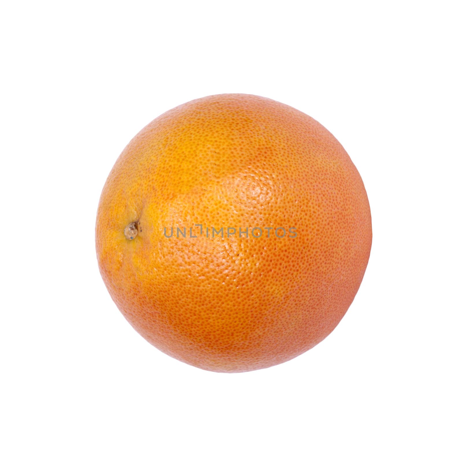 Grapefruit on a white background. 