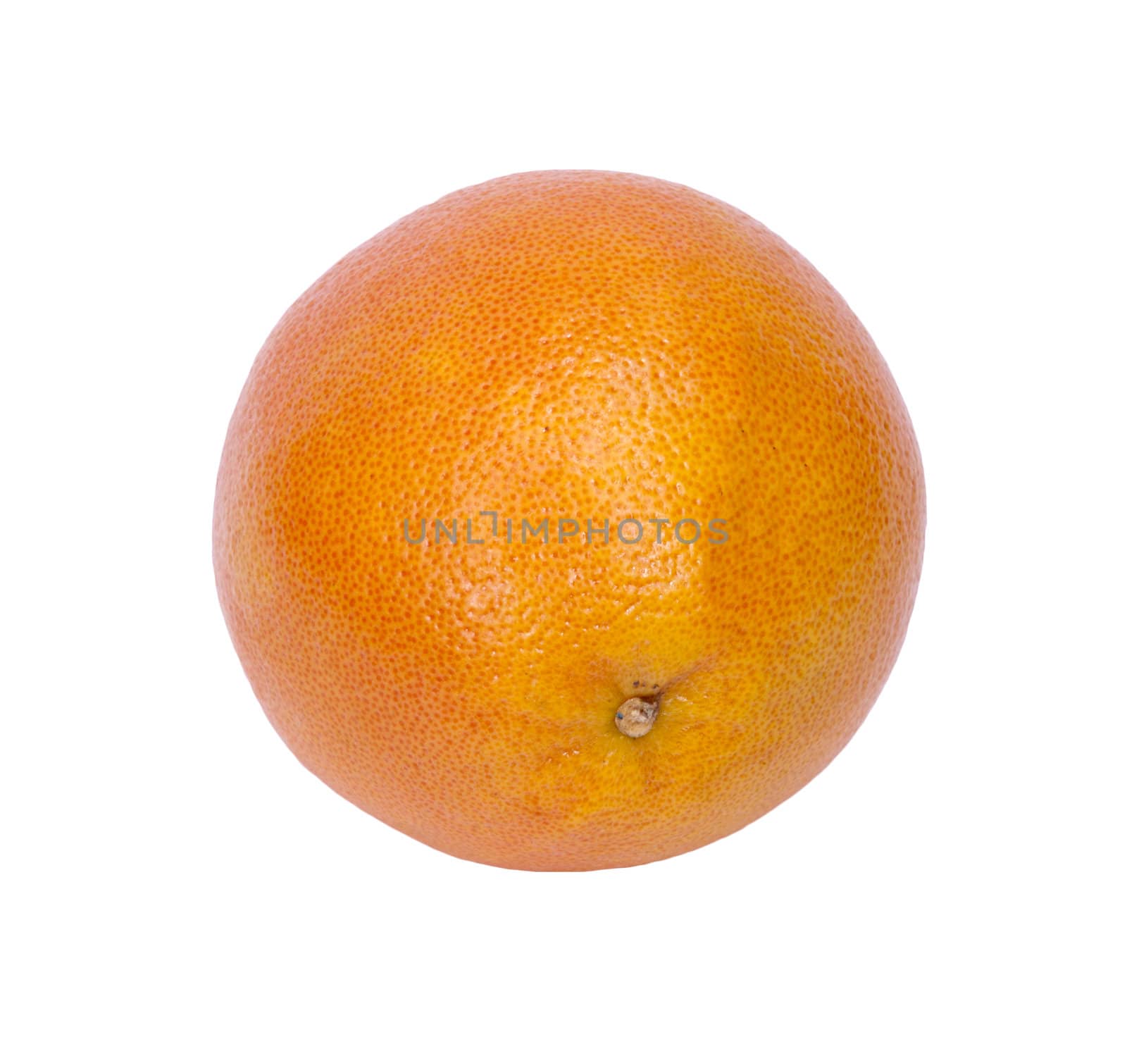 Grapefruit on a white background. 