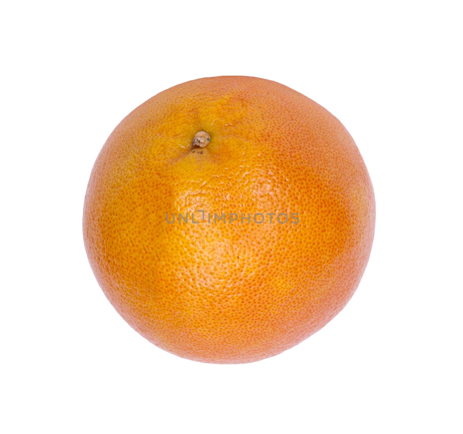 Grapefruit on a white background. 