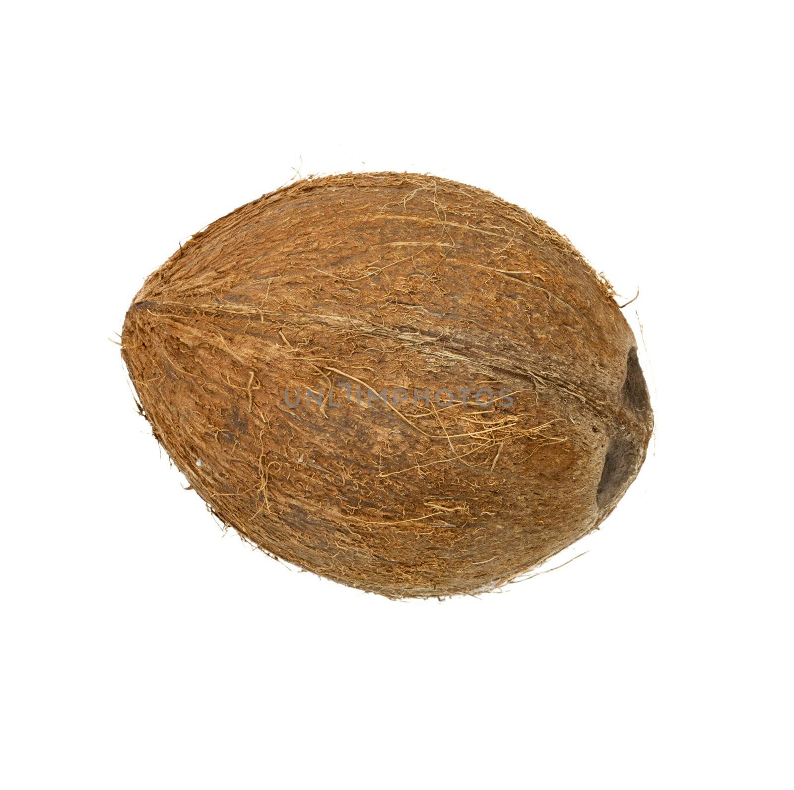coconut isolated on white background 