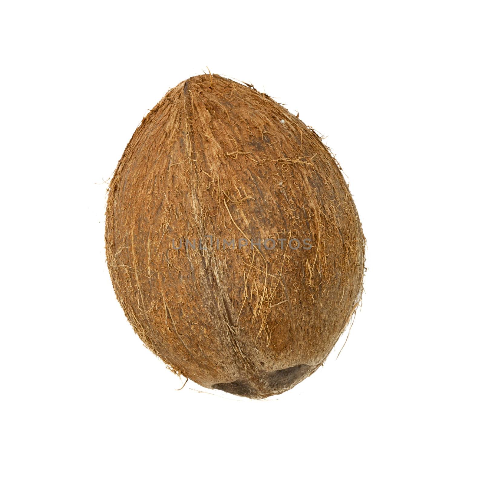 coconut isolated on white background 