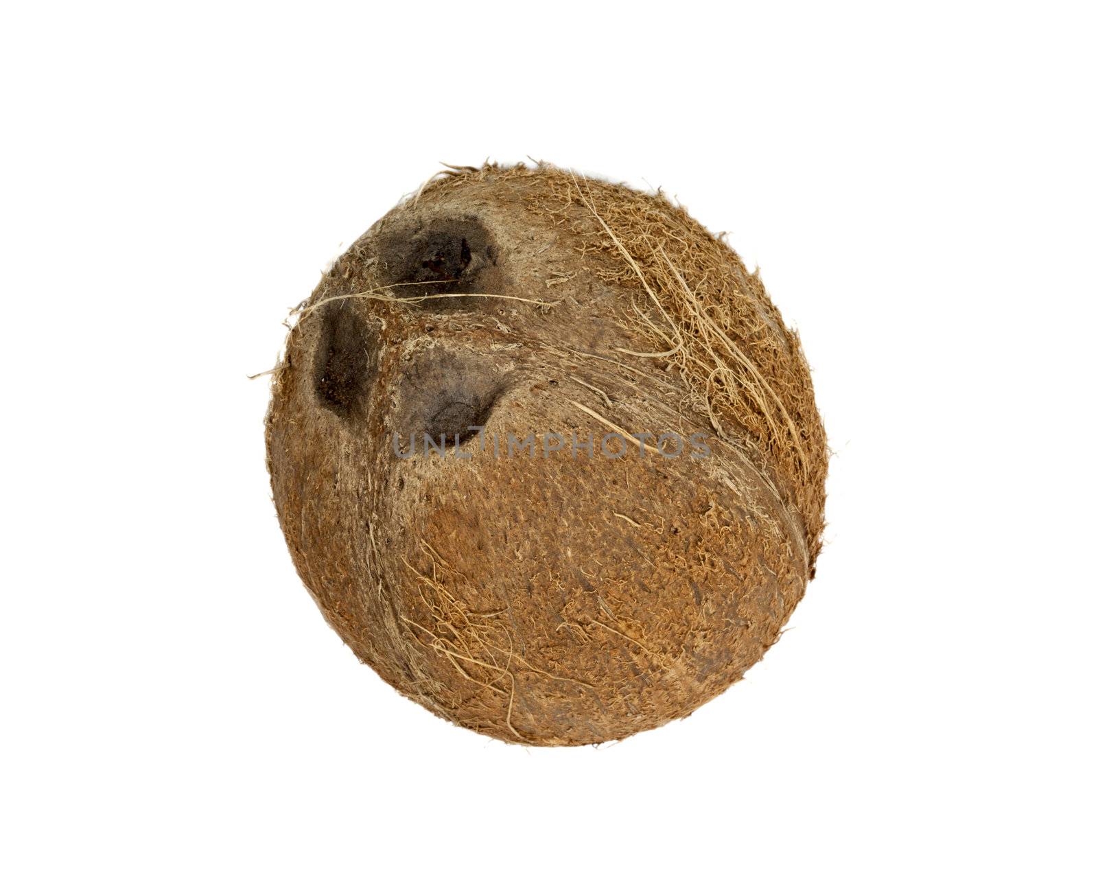 coconut isolated on white background 