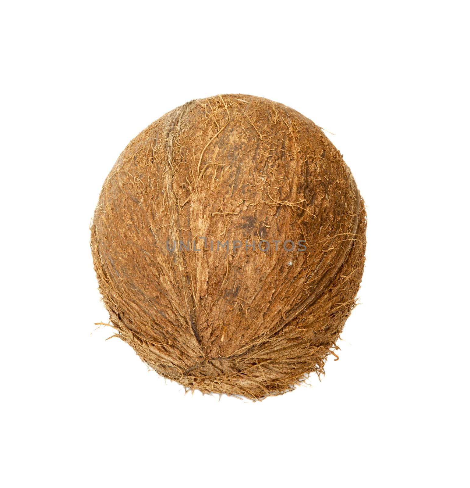 coconut isolated on white background 