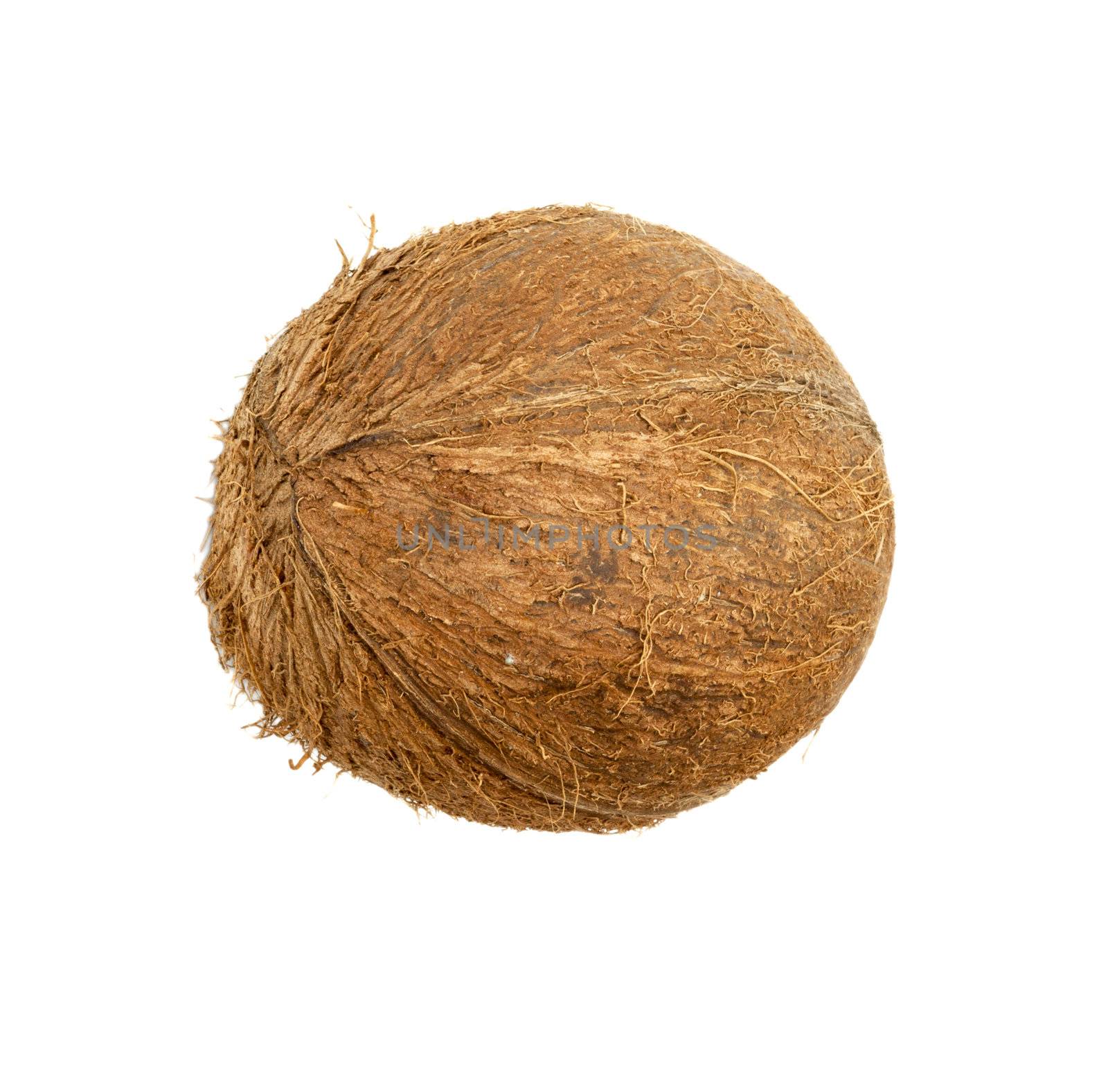 coconut isolated on white background 
