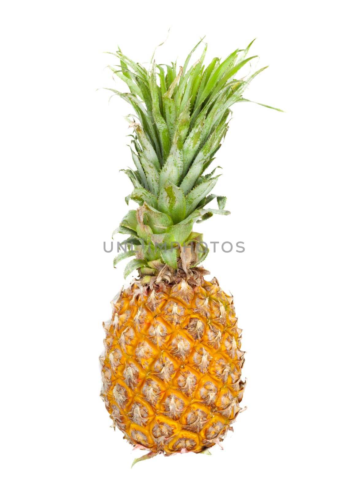 ripe pineapple isolated on white  by schankz