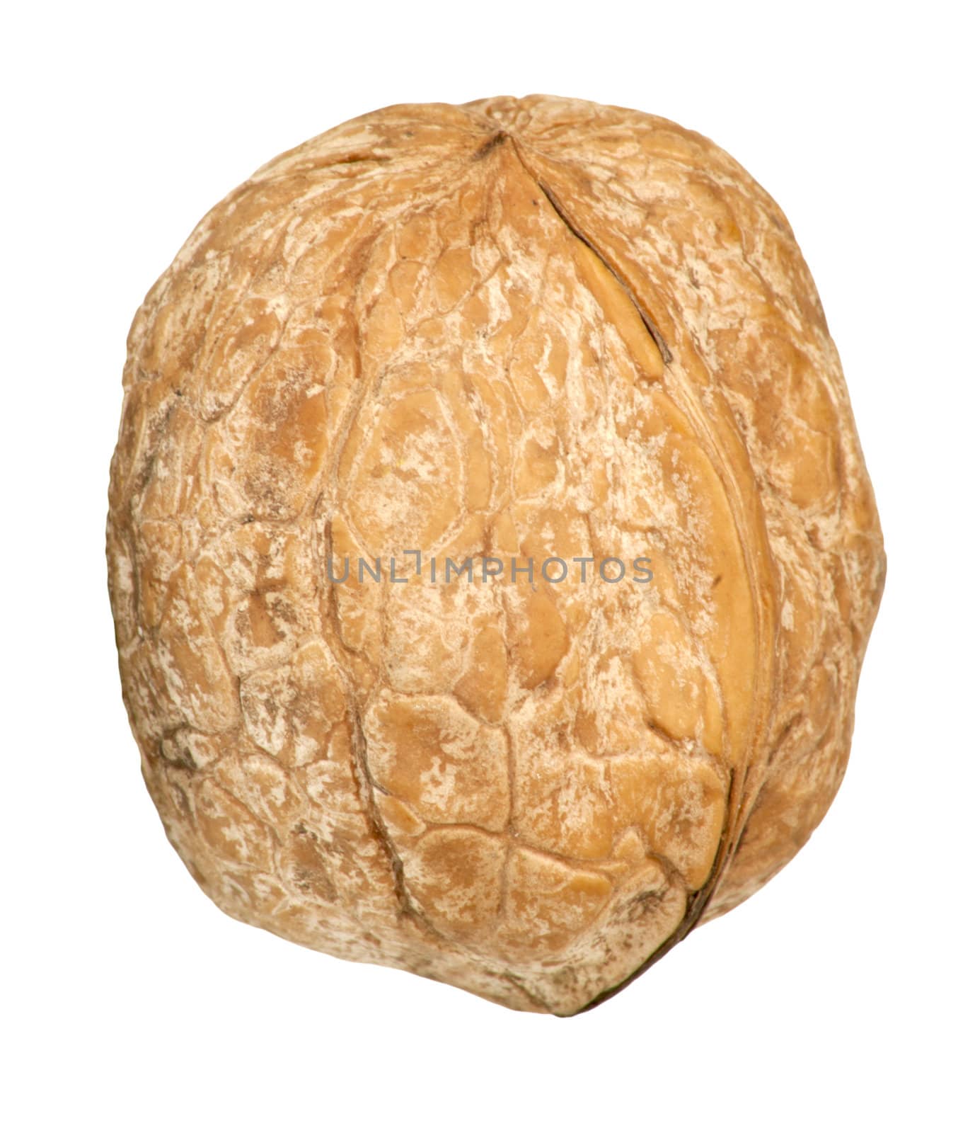 Walnut isolated on white background 