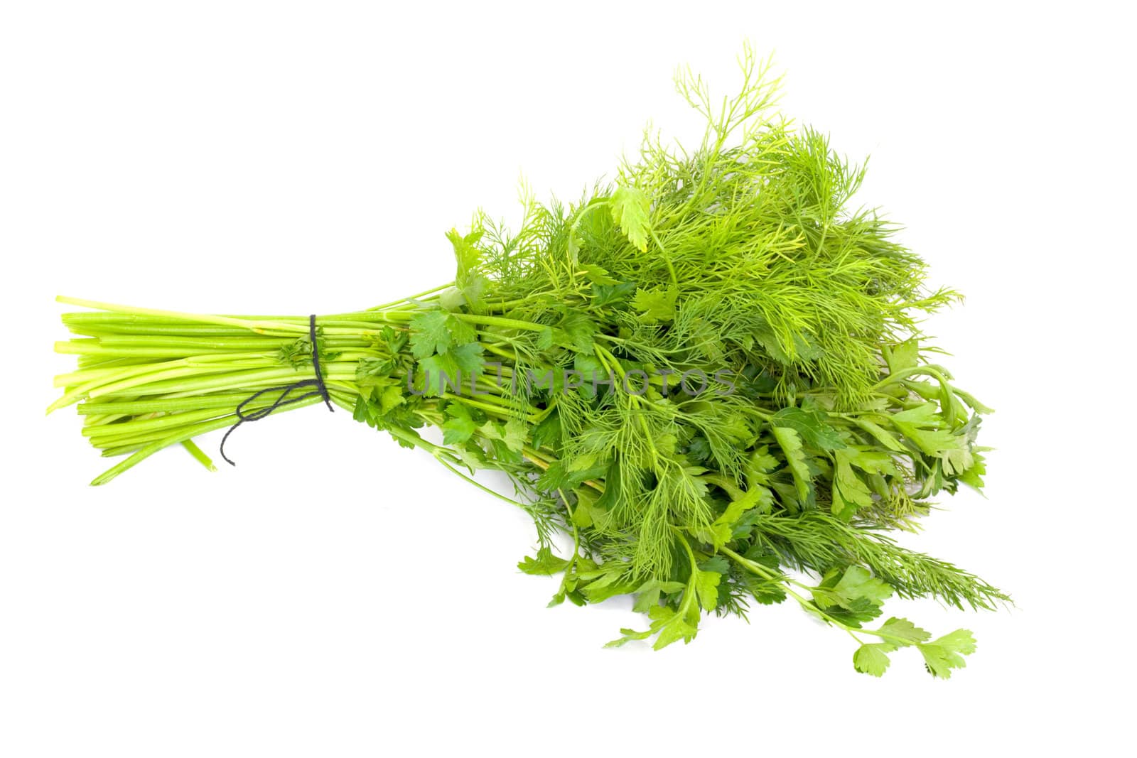dill and parsley isolated on a white background 