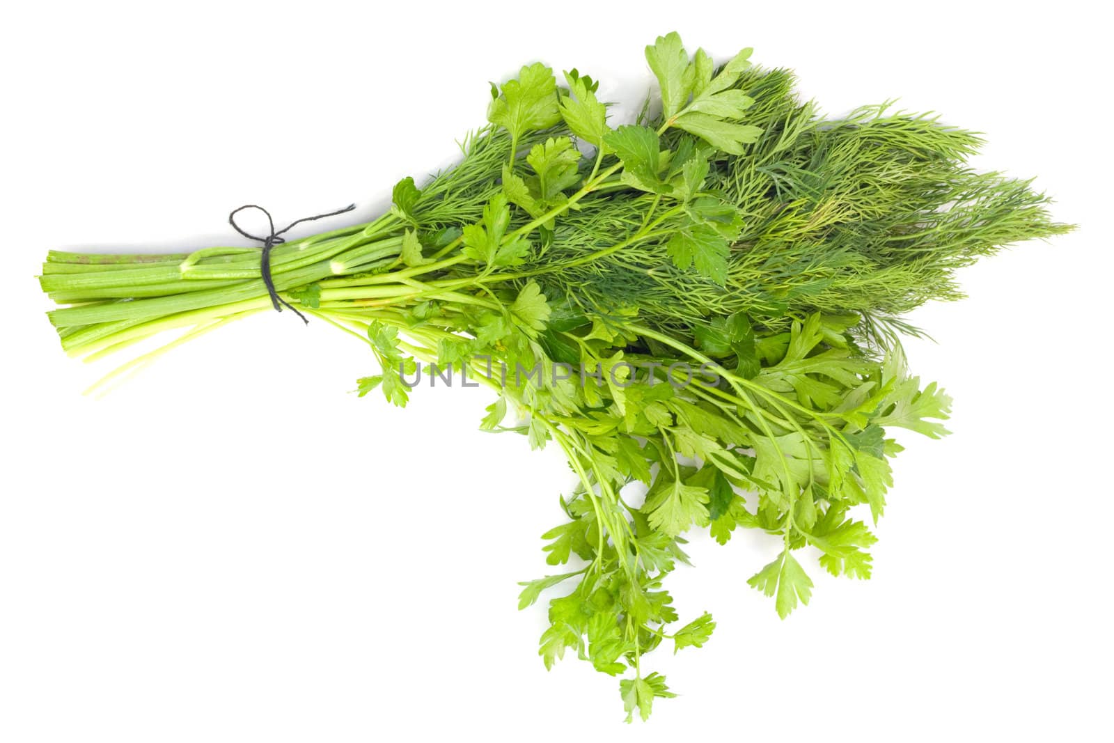 dill and parsley isolated on a white background 