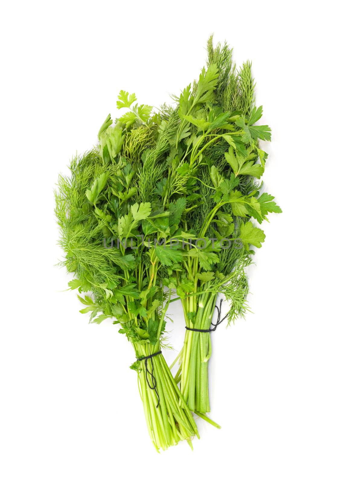 dill and parsley isolated on a white background 