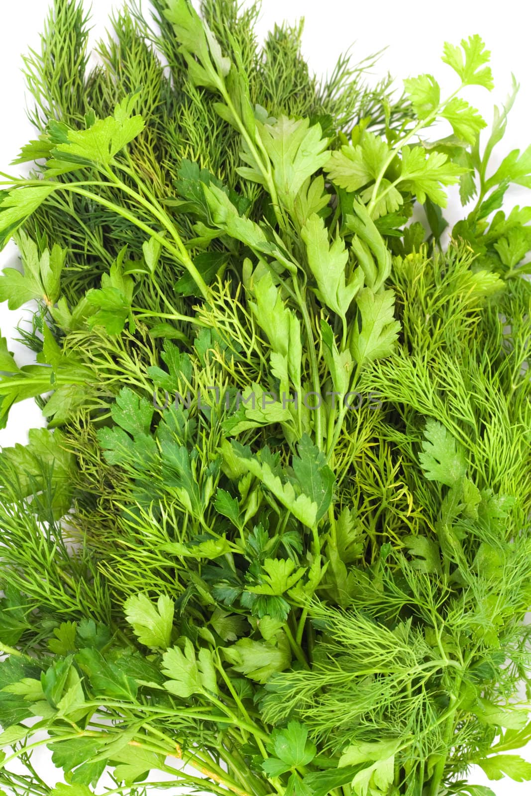 dill and parsley 