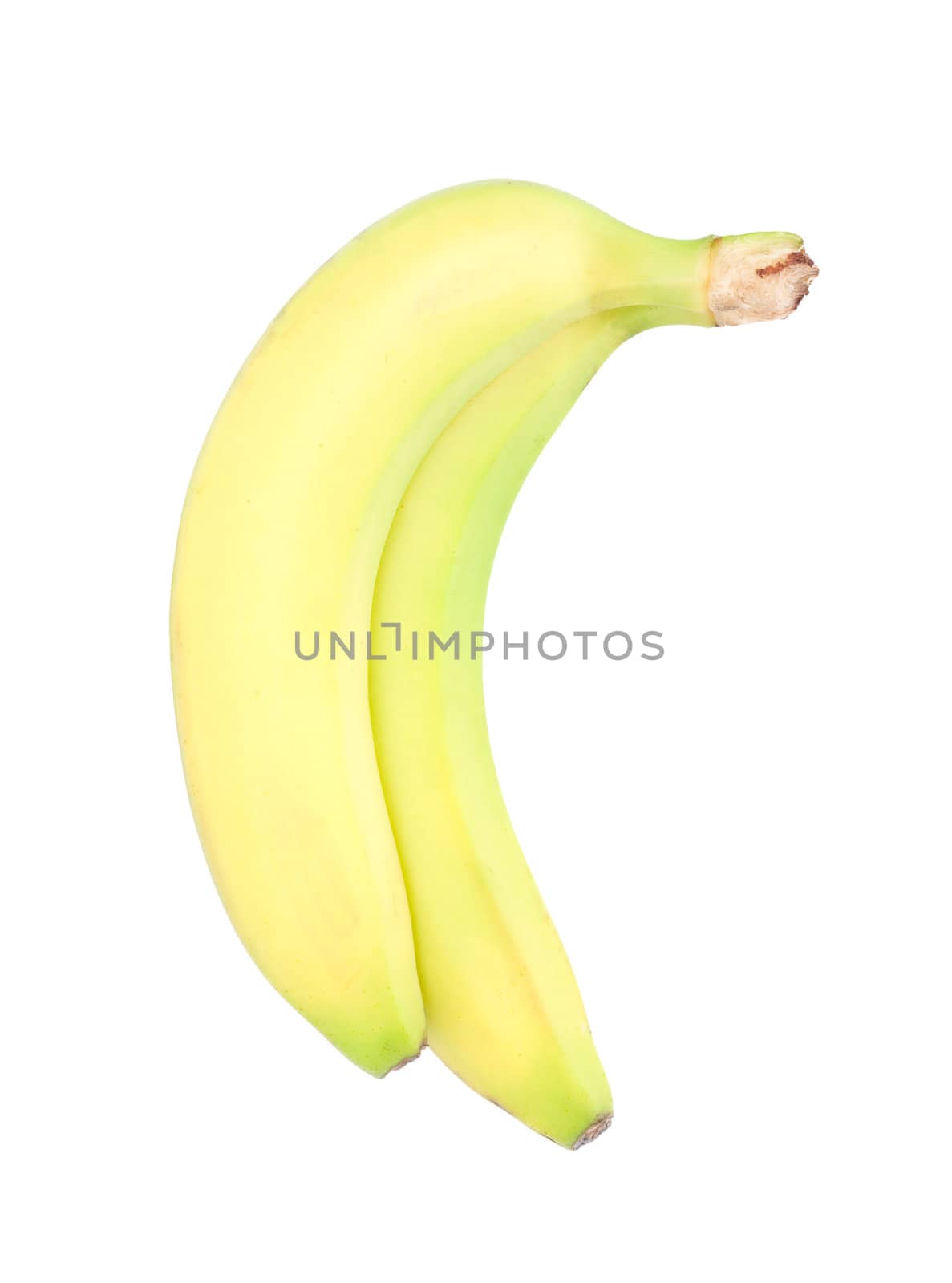Bunch of bananas isolated on white background  by schankz