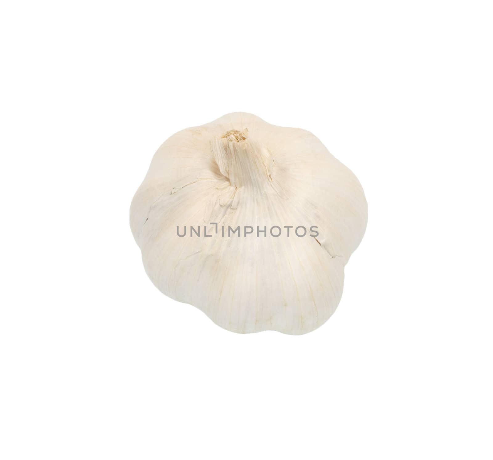 Garlic isolated on white background. 