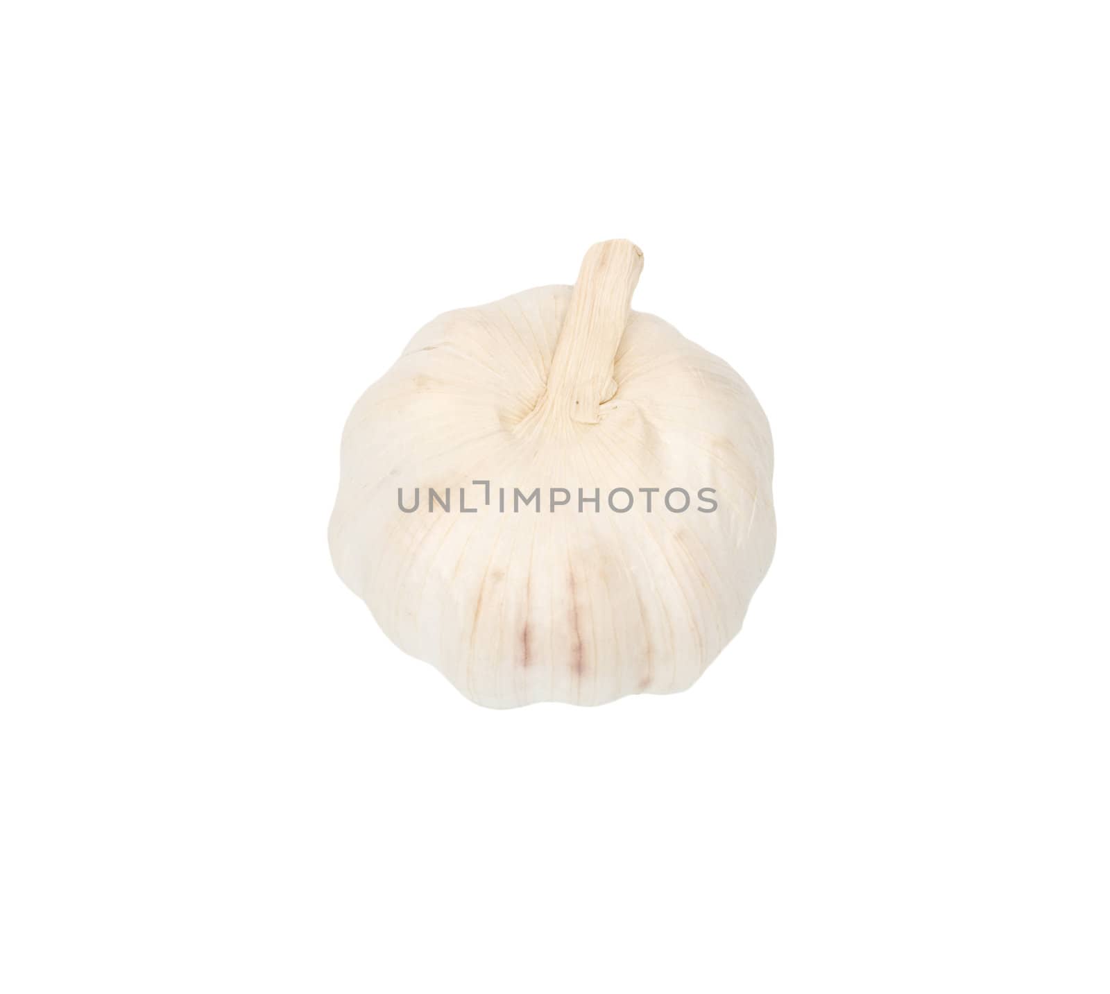 Garlic isolated on white background. 