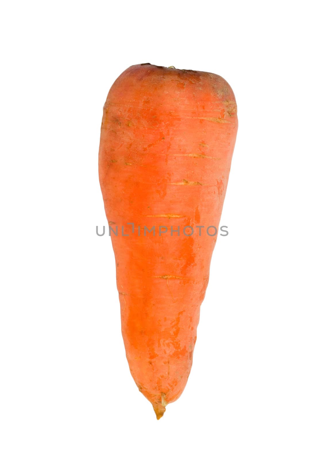 Ripe carrots isolated on a white background 