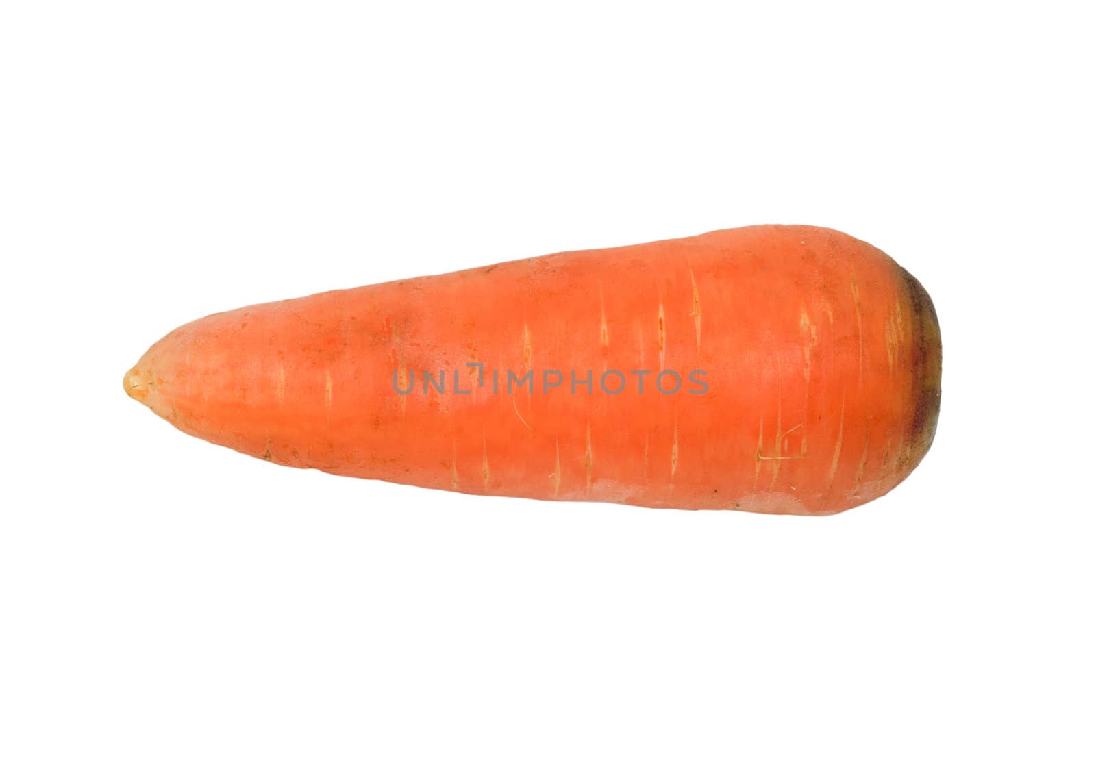 Ripe carrots isolated on a white background 