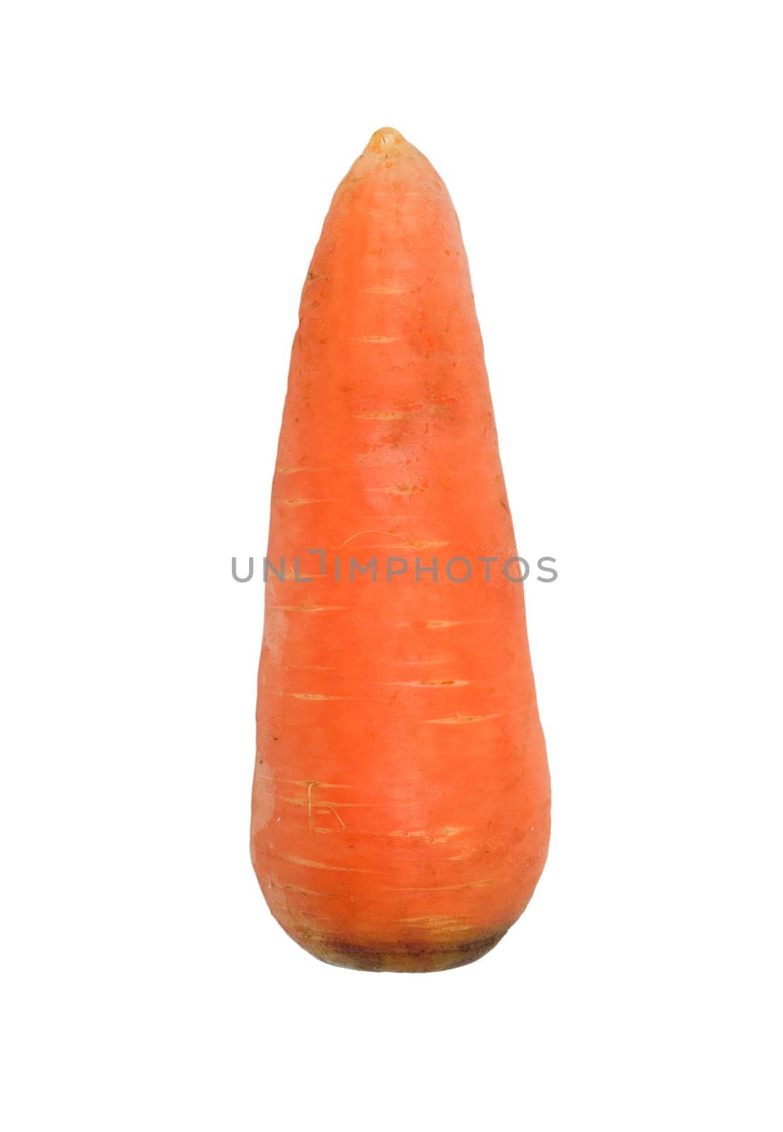 Ripe carrots isolated on a white background 