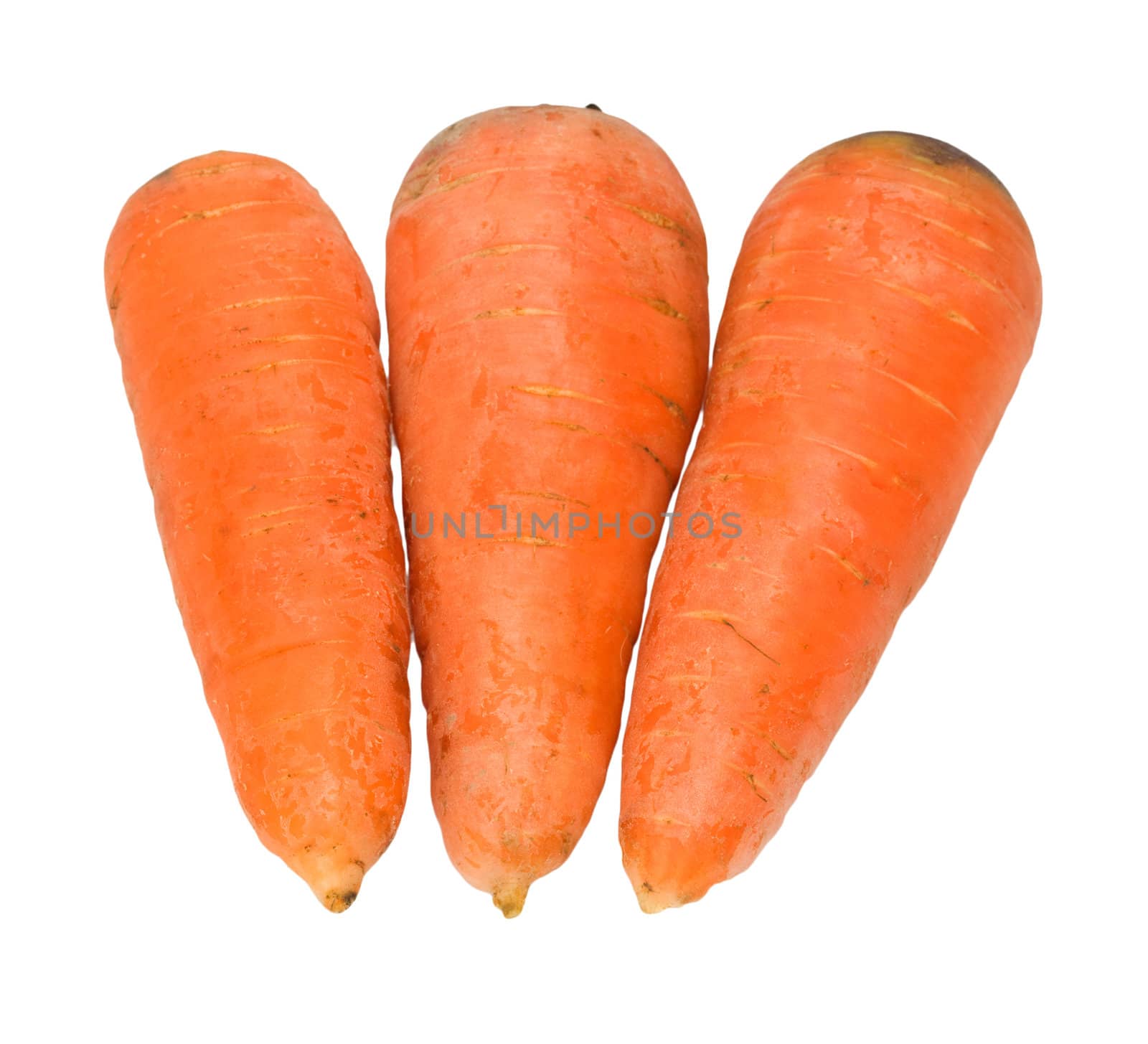 Carrots isolated on white 