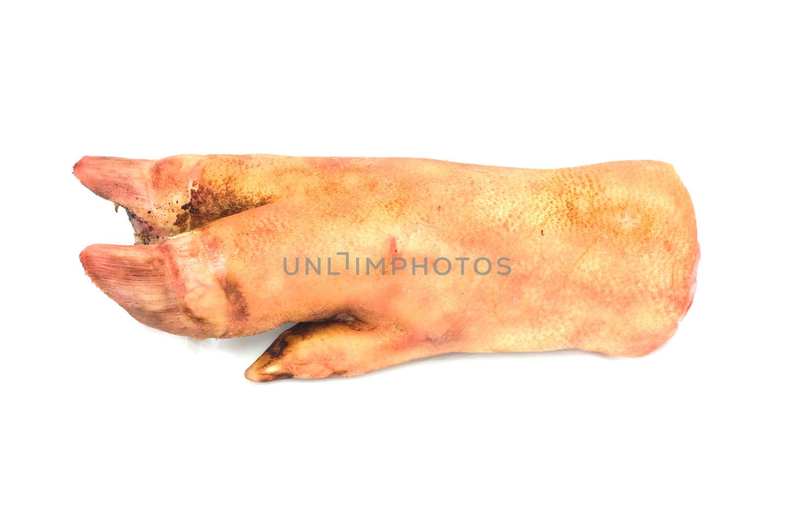 pork leg on white background 