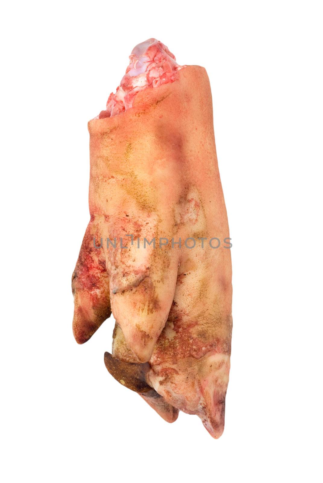 pork leg on white background 