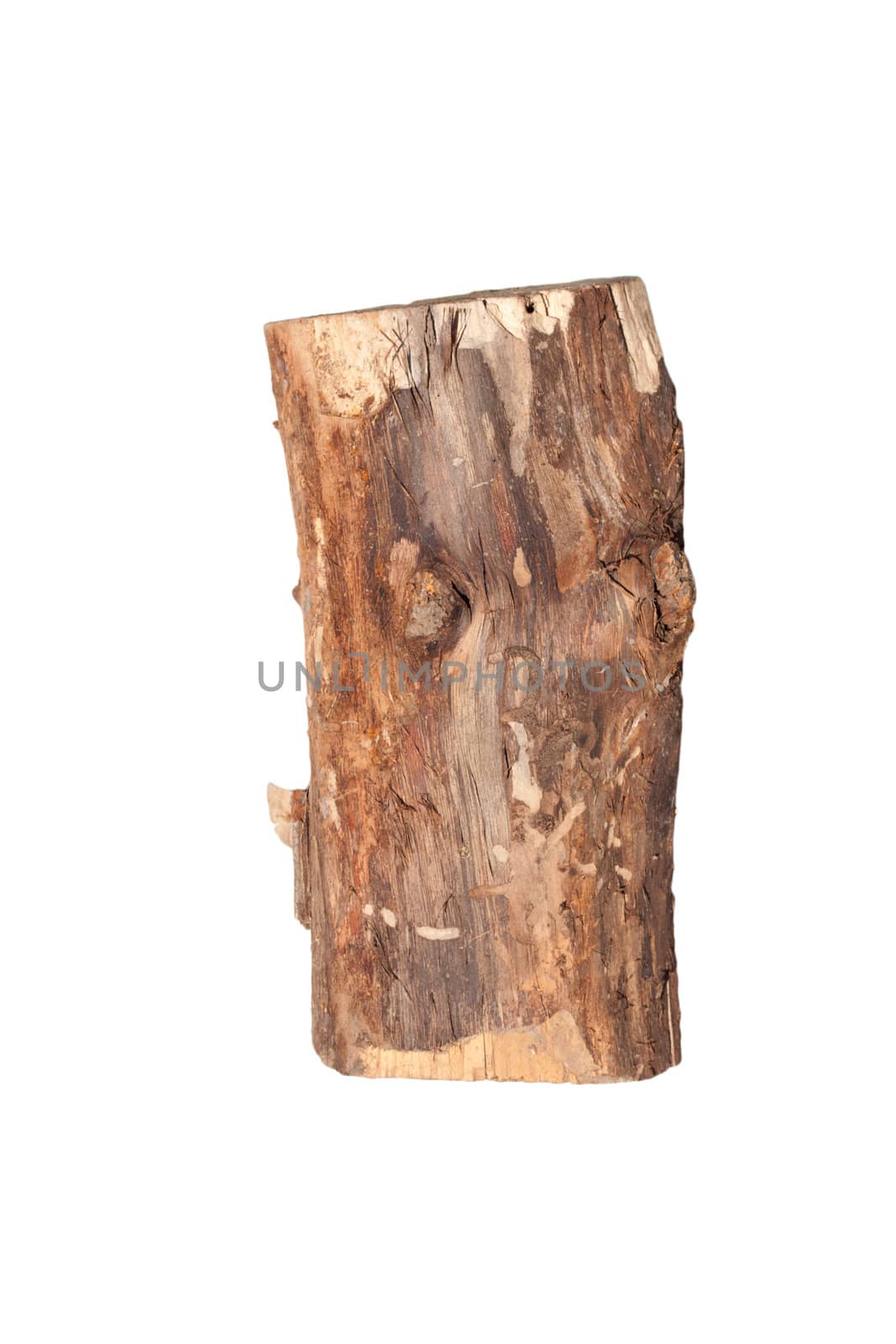 Birch logs isolated on the white background. 
