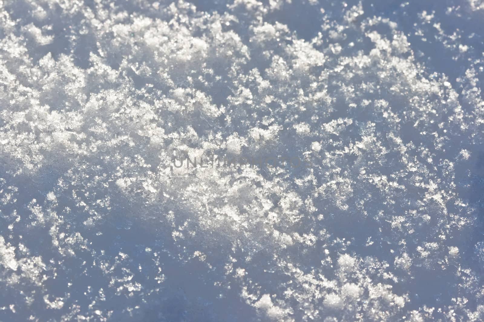 Extreme macro photo of freshly fallen snow