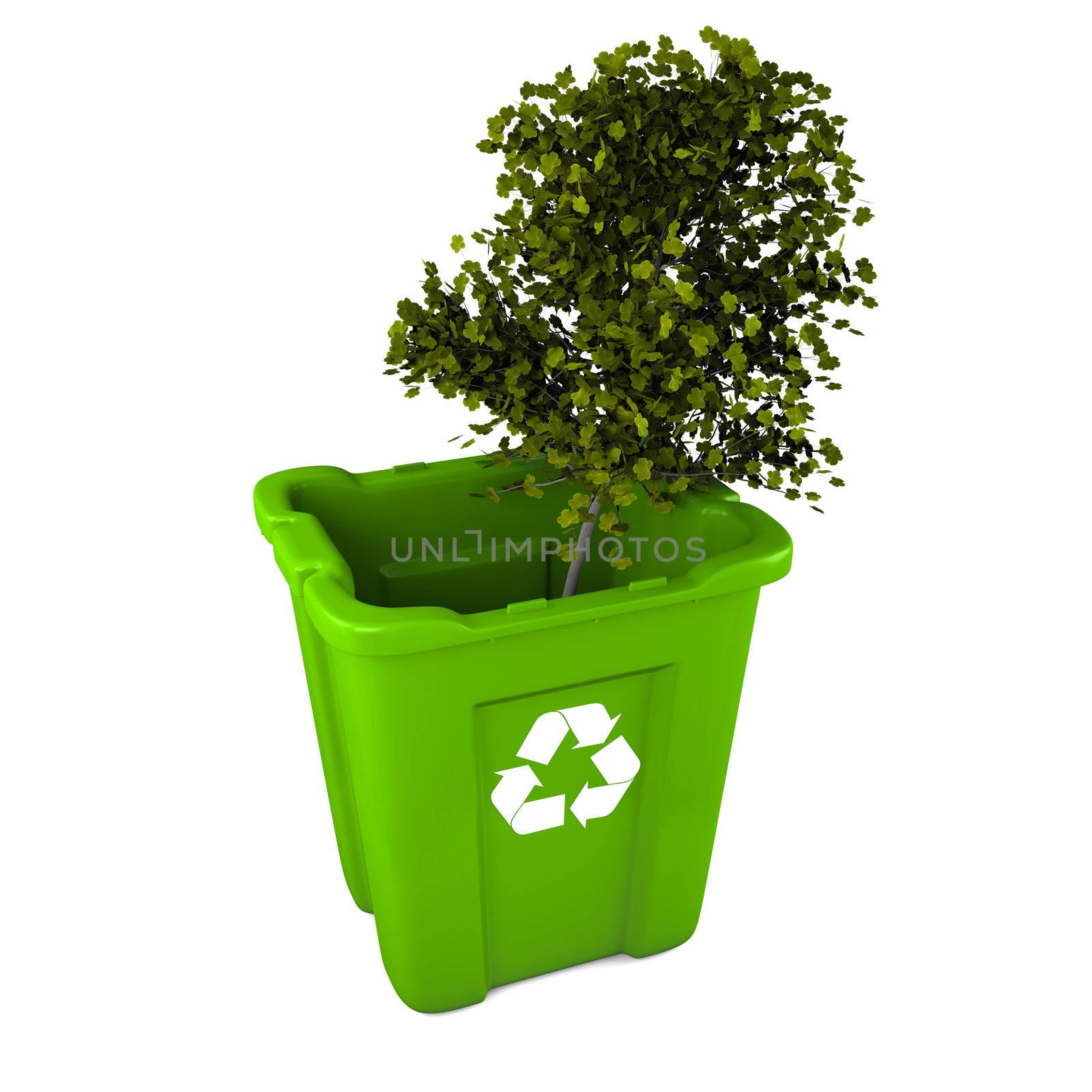 Paper recycling concept with Italian Maple tree in green plastic recycle bin