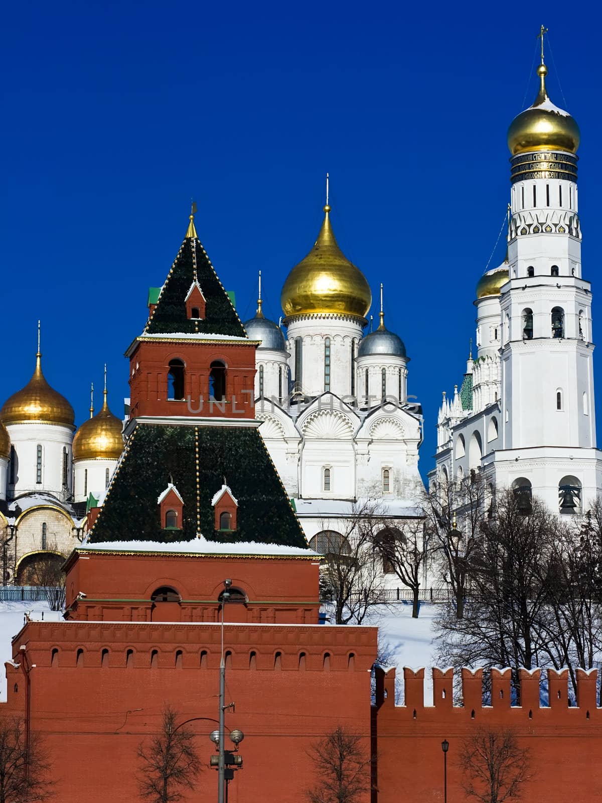 Moscow Kremlin Wall and Cathedral of the Archangel Michael, Russia