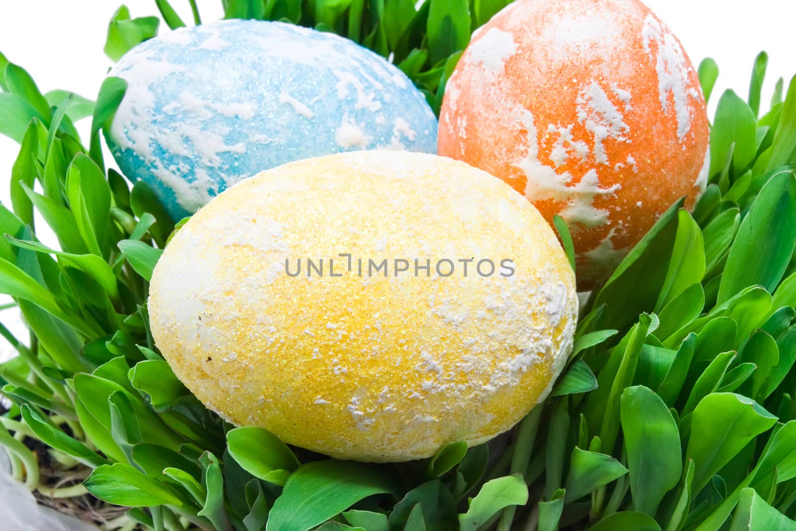 Colorful Easter eggs in grass