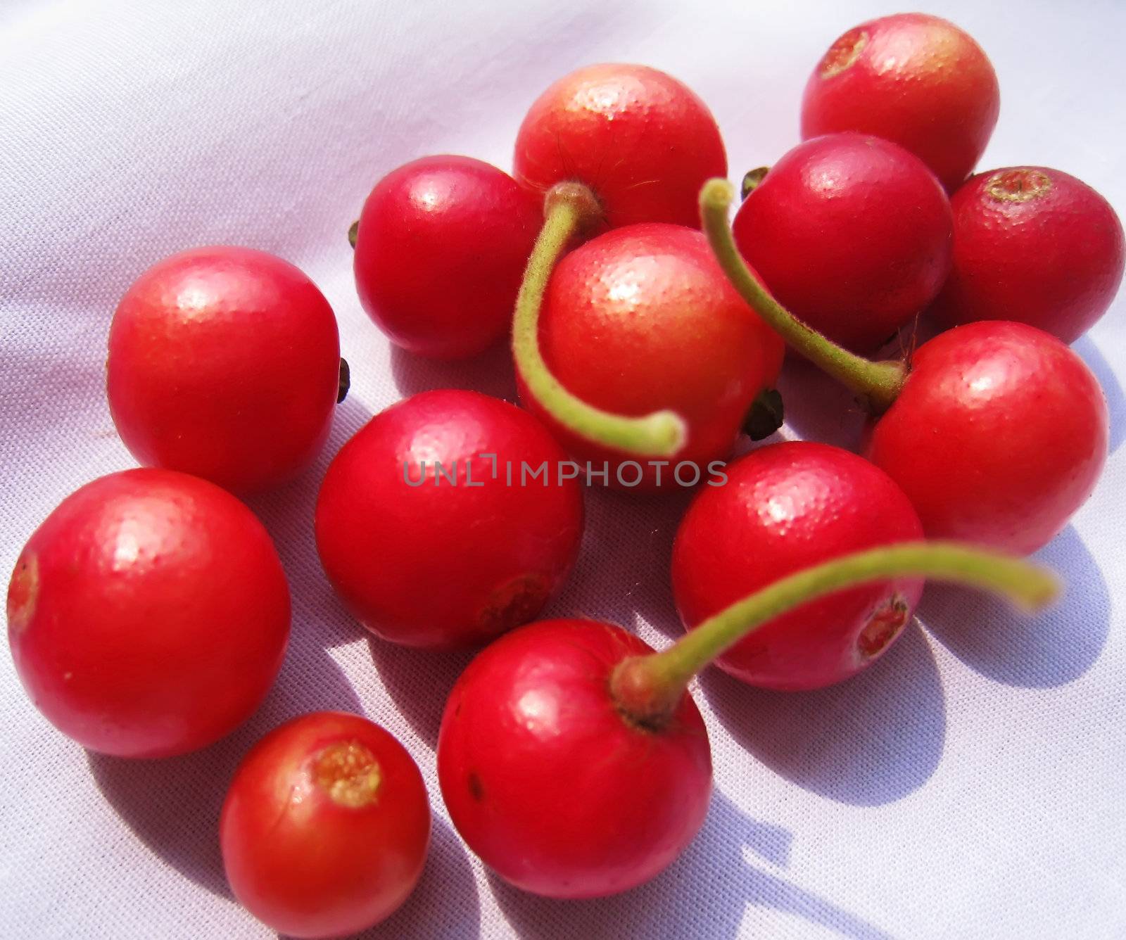 muntingia fruits  is used to make jam in Vietnam