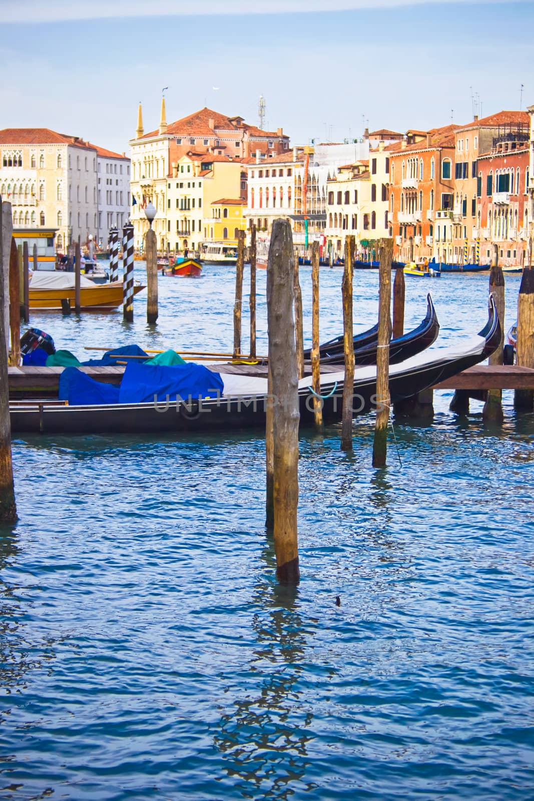 Venetian gondolas anchored on the Grand Canal, Venice