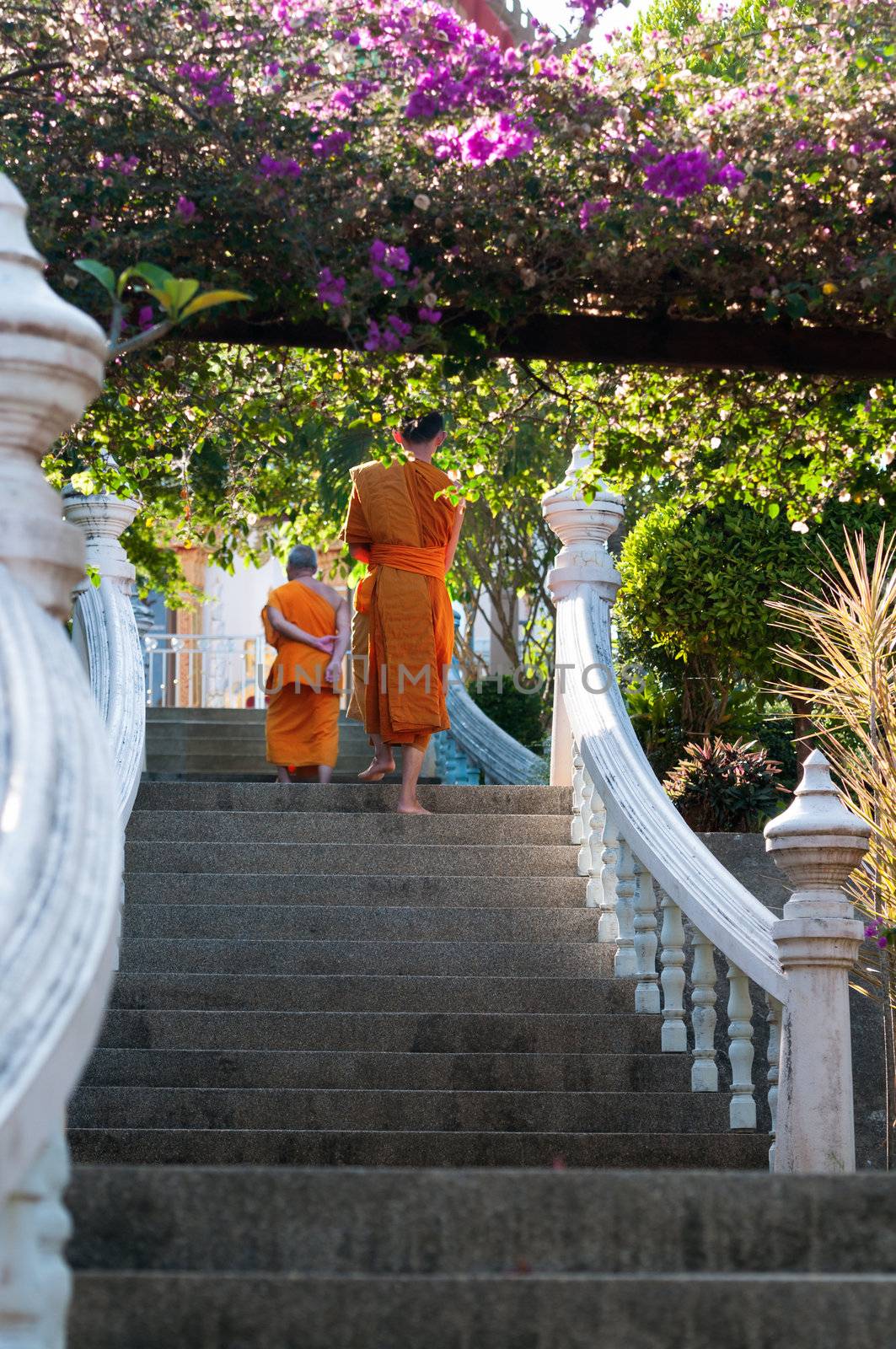 Phuket, Thailand - January 06, 2012: Two Buddhist monks on monastery stairs surrounded by flowers and trees. The monastery is in Wat Sapum Thammaram.