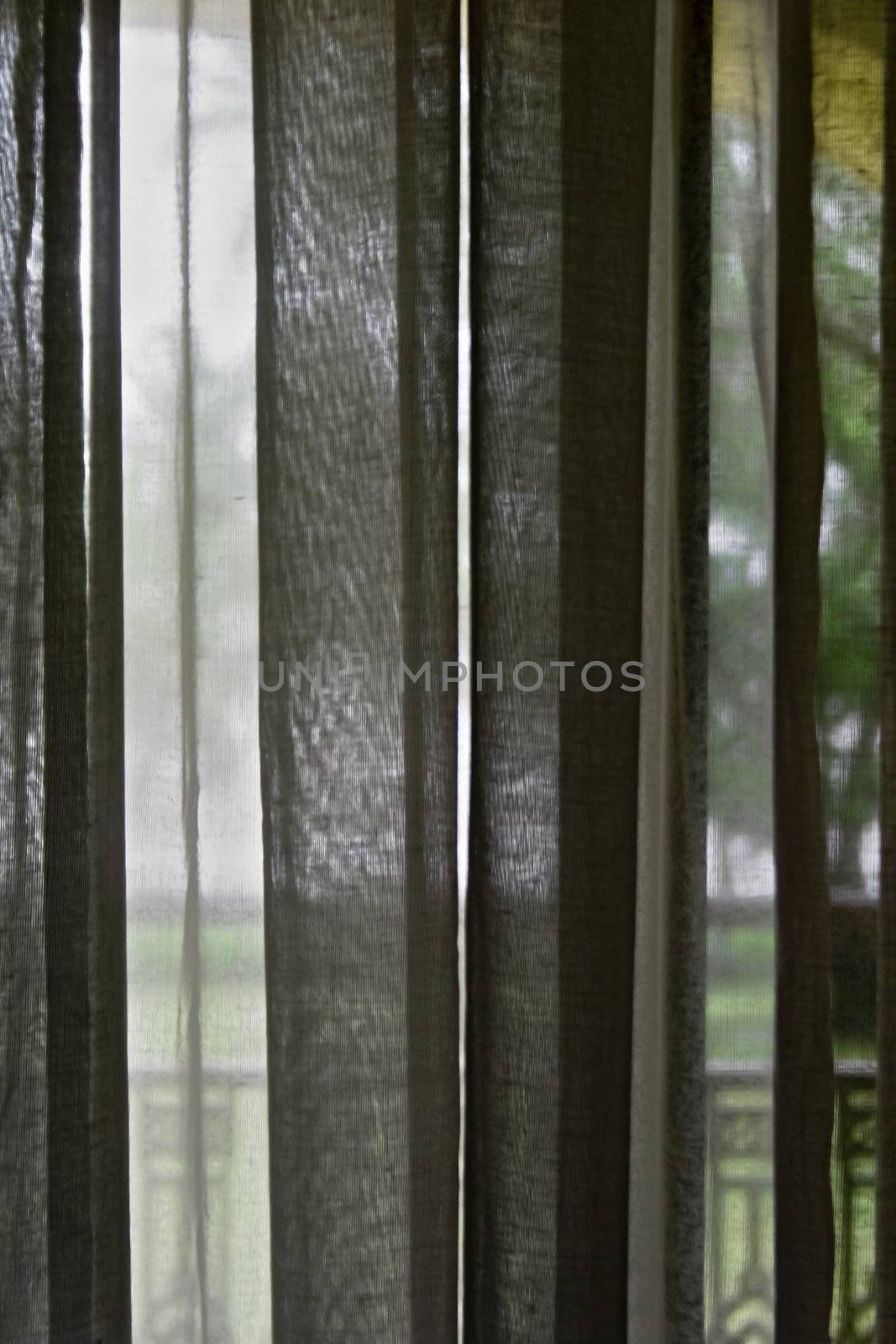 A generic portrait of laced curtain patio doors looking out onto mature lawned gardens, lawns, trees and a lake, may be located anywhere in the world