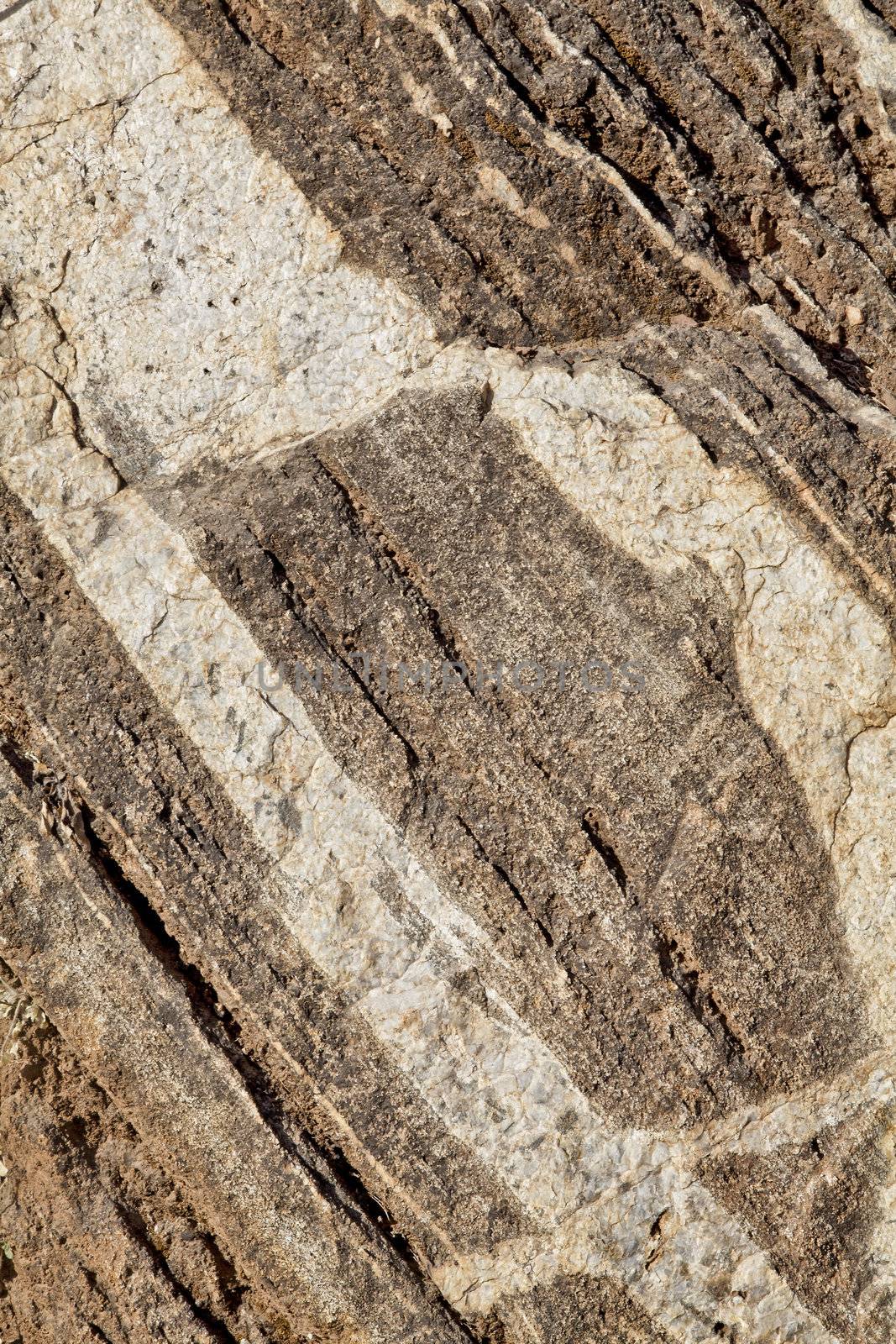 Location is Shiva Devi in Kashmir Northern India for the mountainside rock texture with marbling streaks embedded through evolution. A texture that will stand any orientation